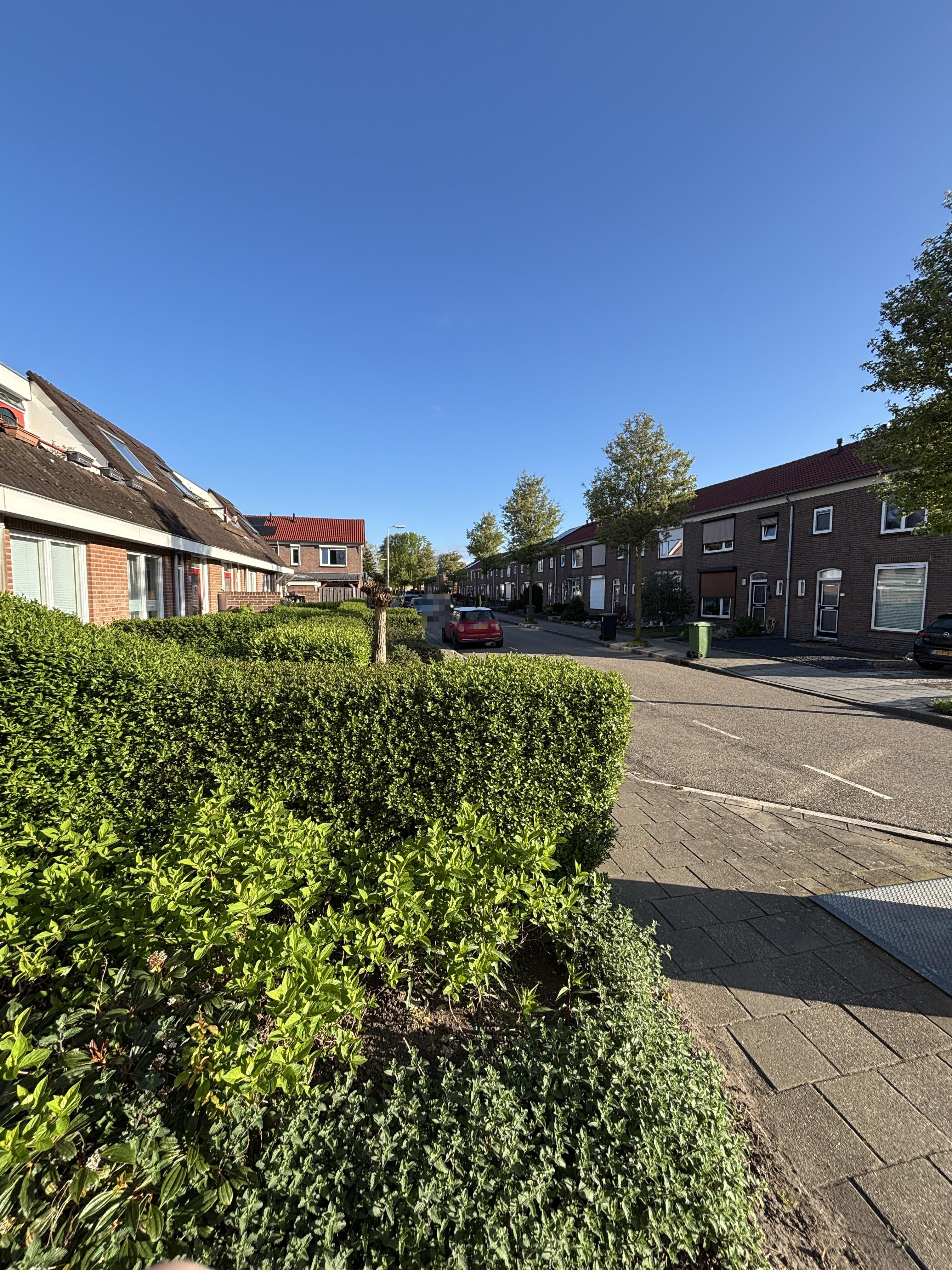 Koningin Wilhelminastraat 75