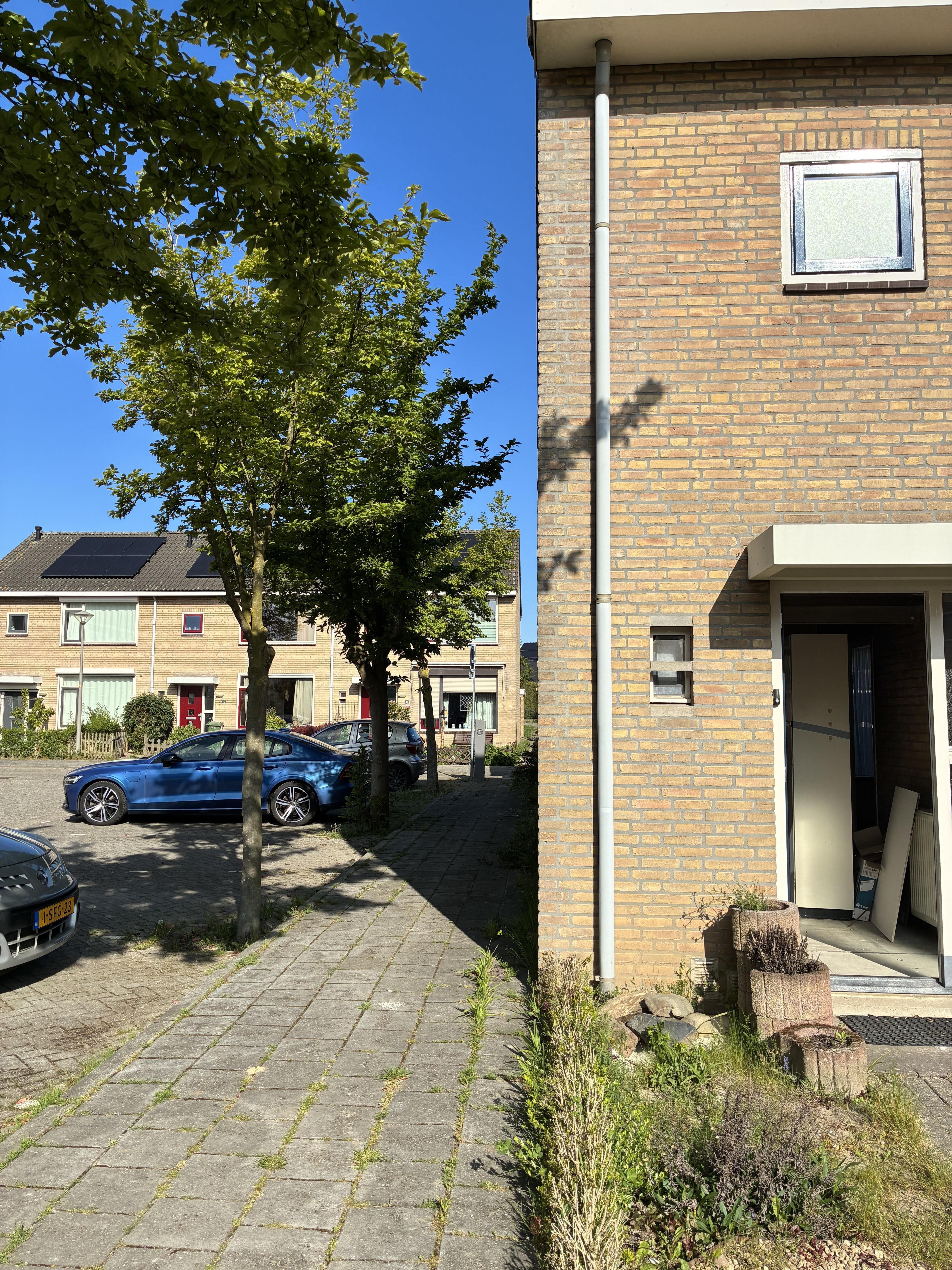 Cypresstraat 6