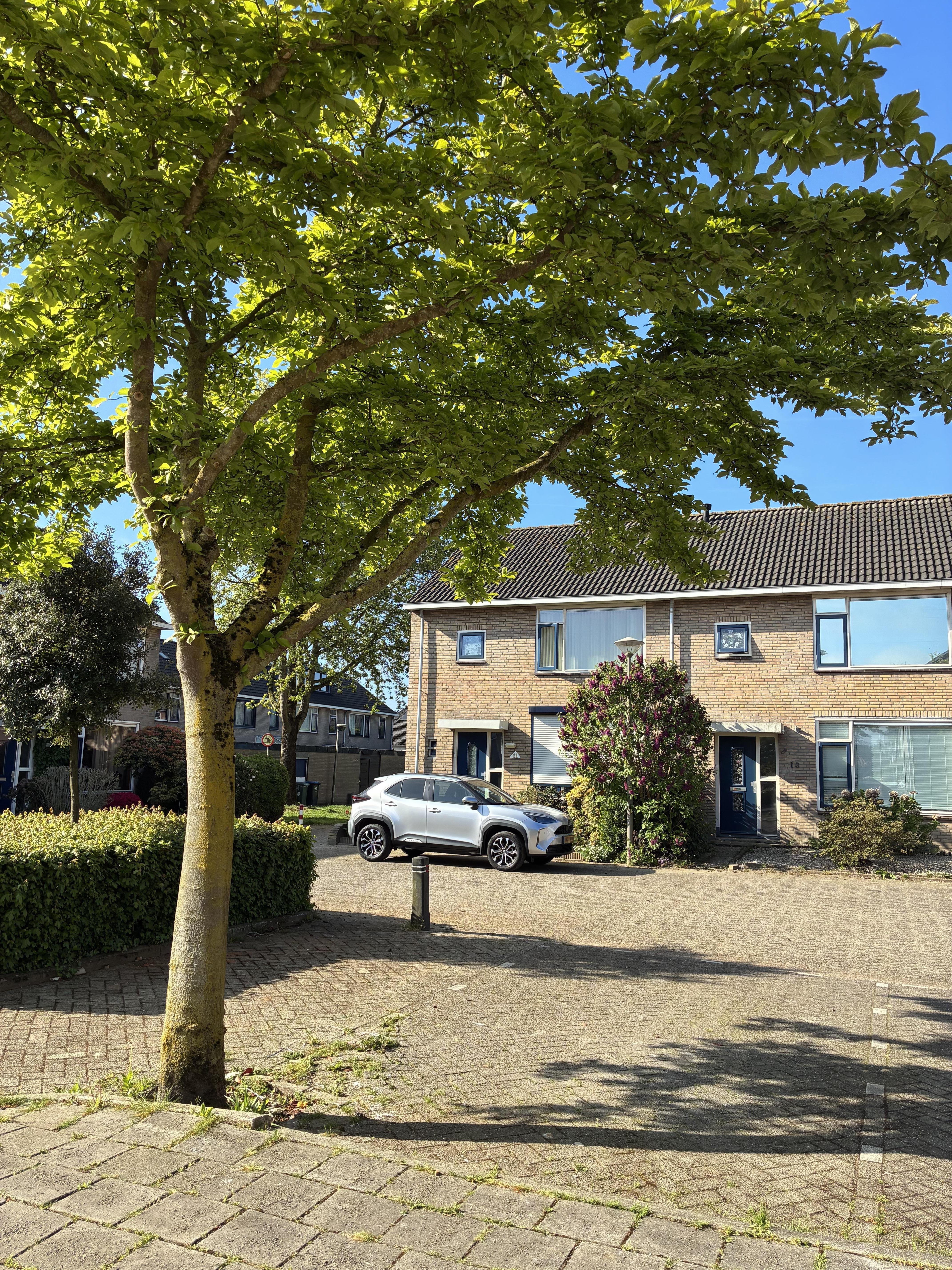 Cypresstraat 6