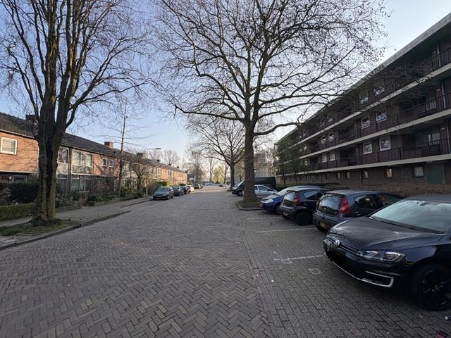 Molecatenstraat 60, 6825 GT Arnhem, Nederland