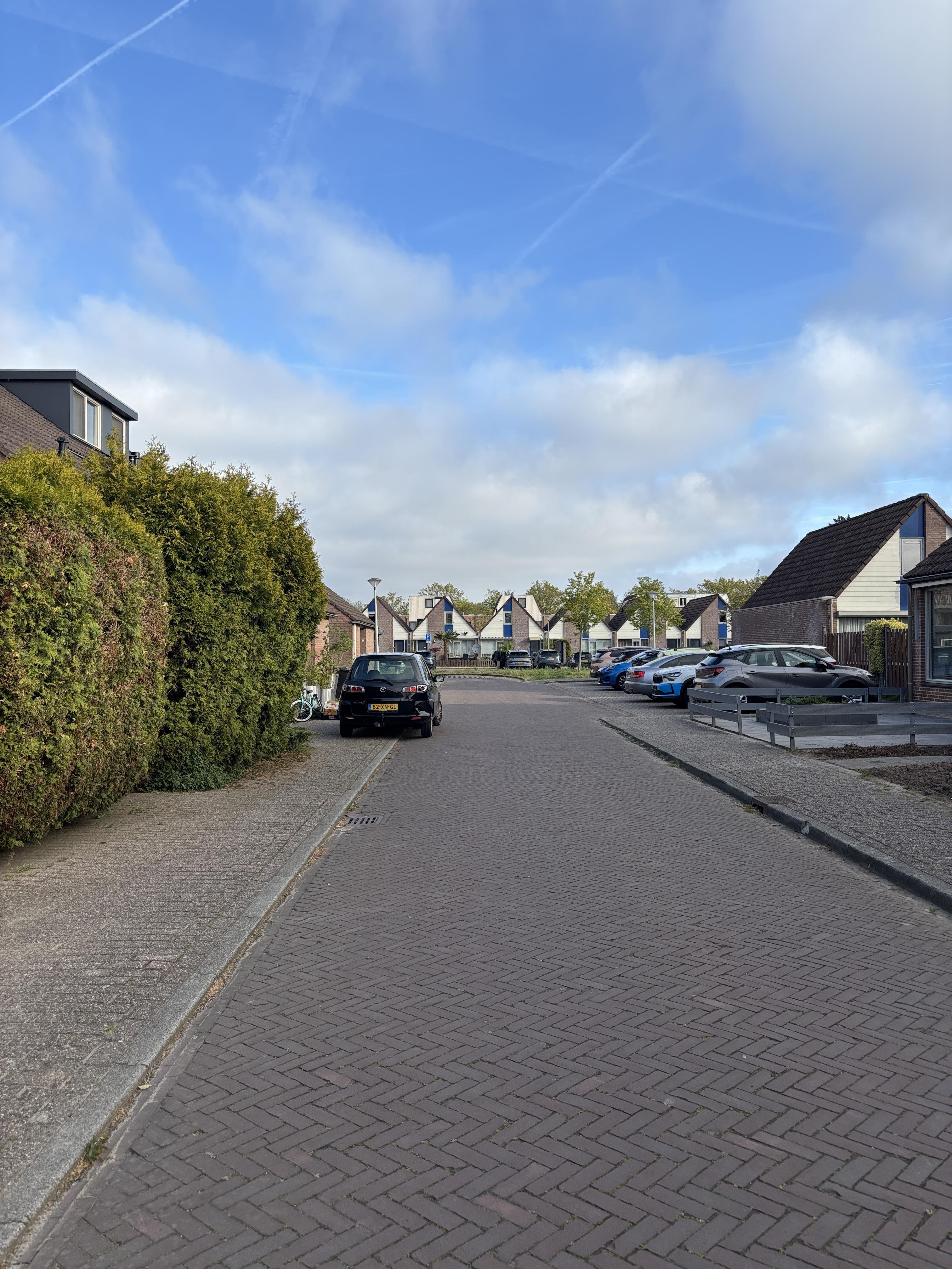 Het Anthonie 35