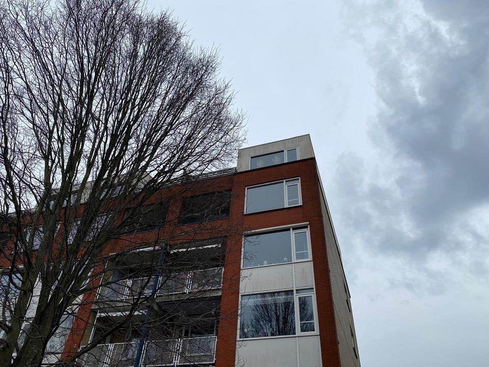 Biezenplein 98