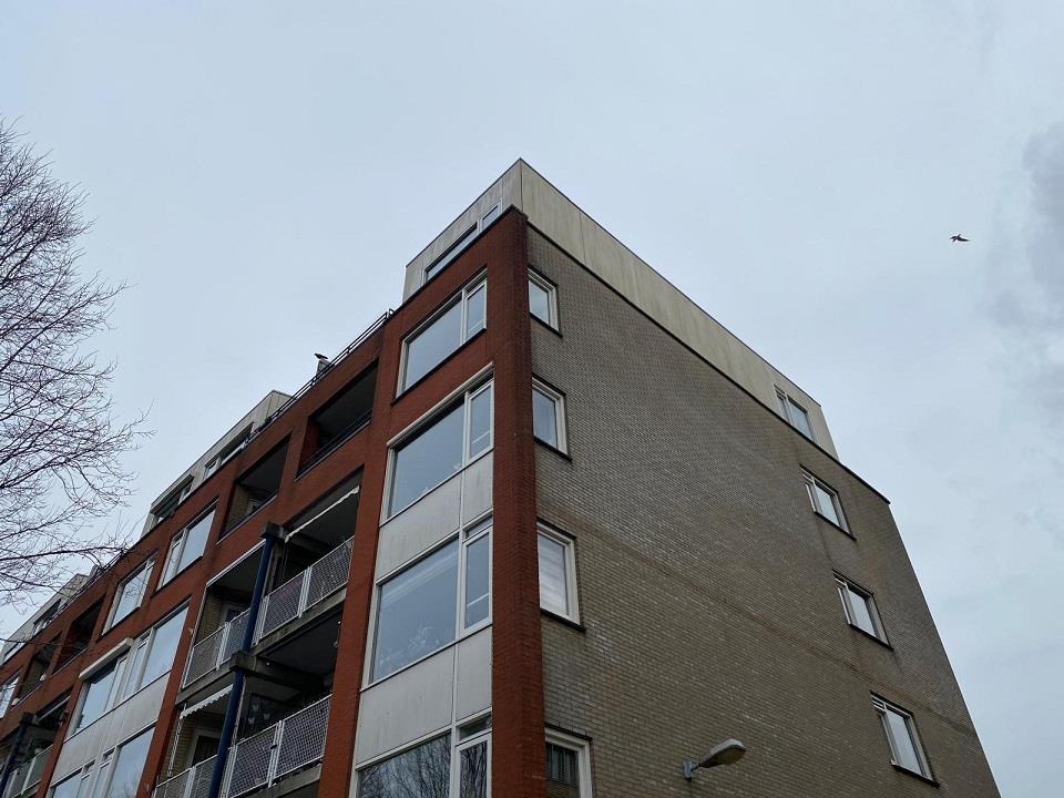 Biezenplein 98