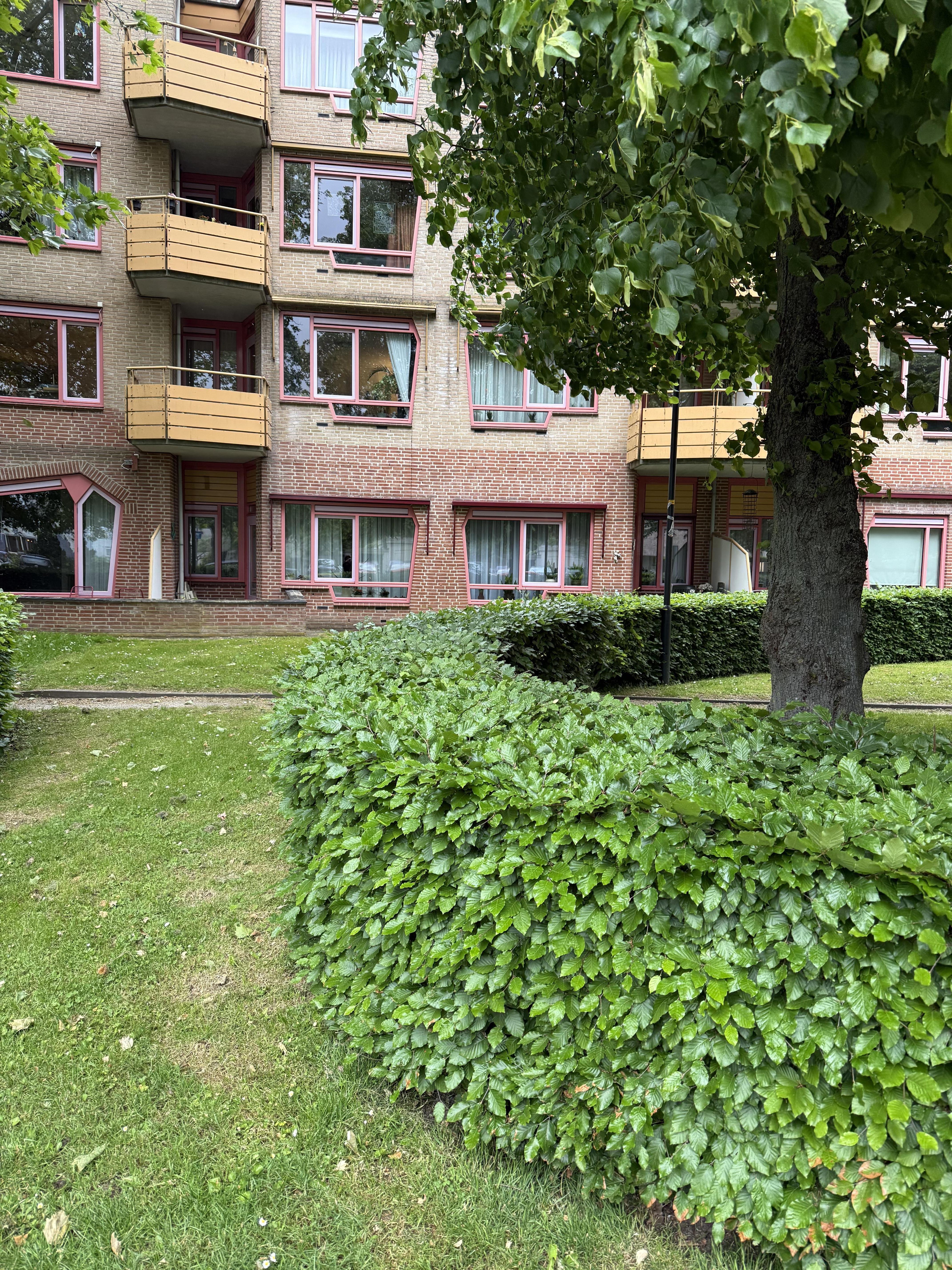 Masiusplein 320, 6901 CN Zevenaar, Nederland