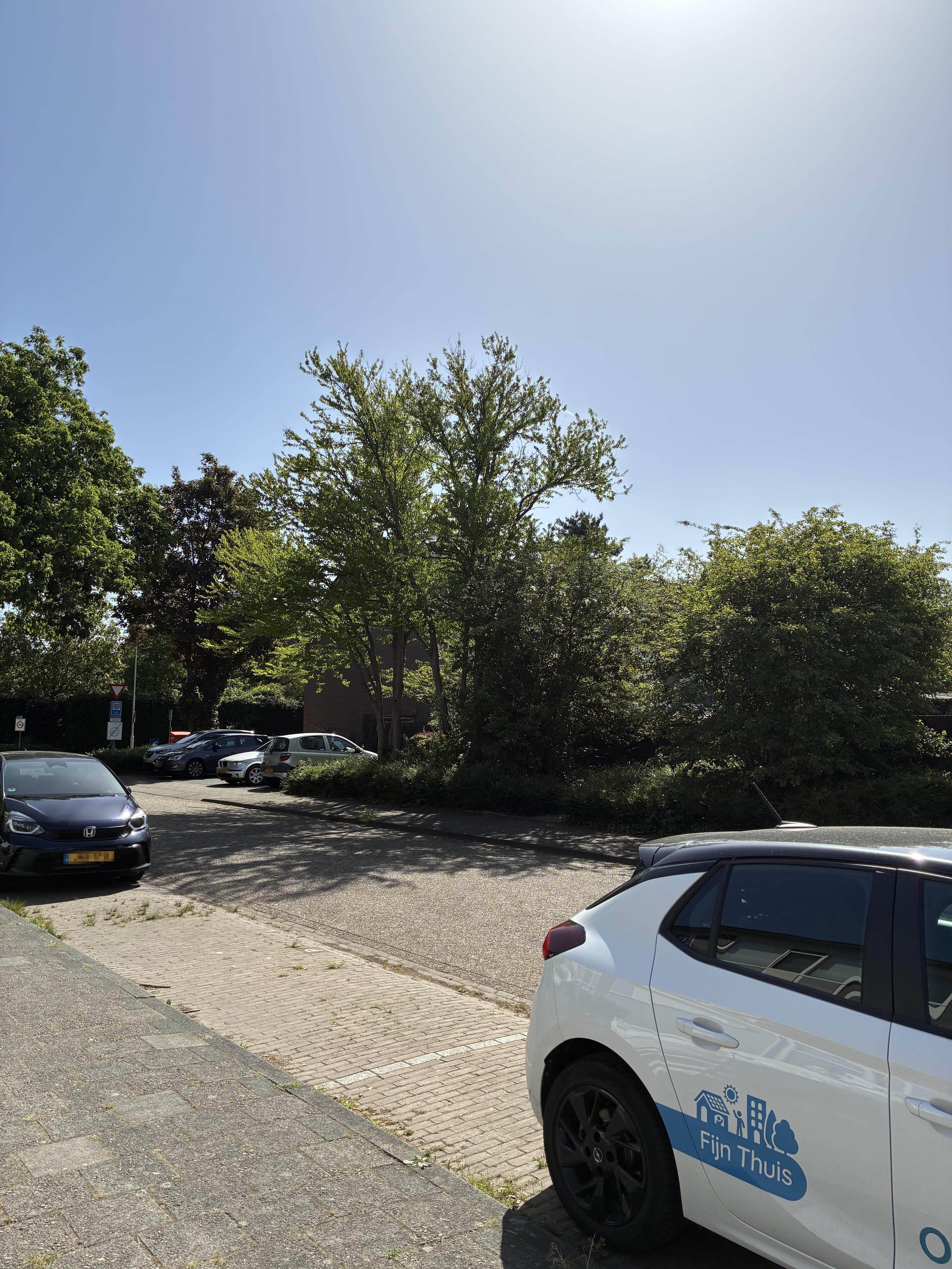 Kroonsingel 218