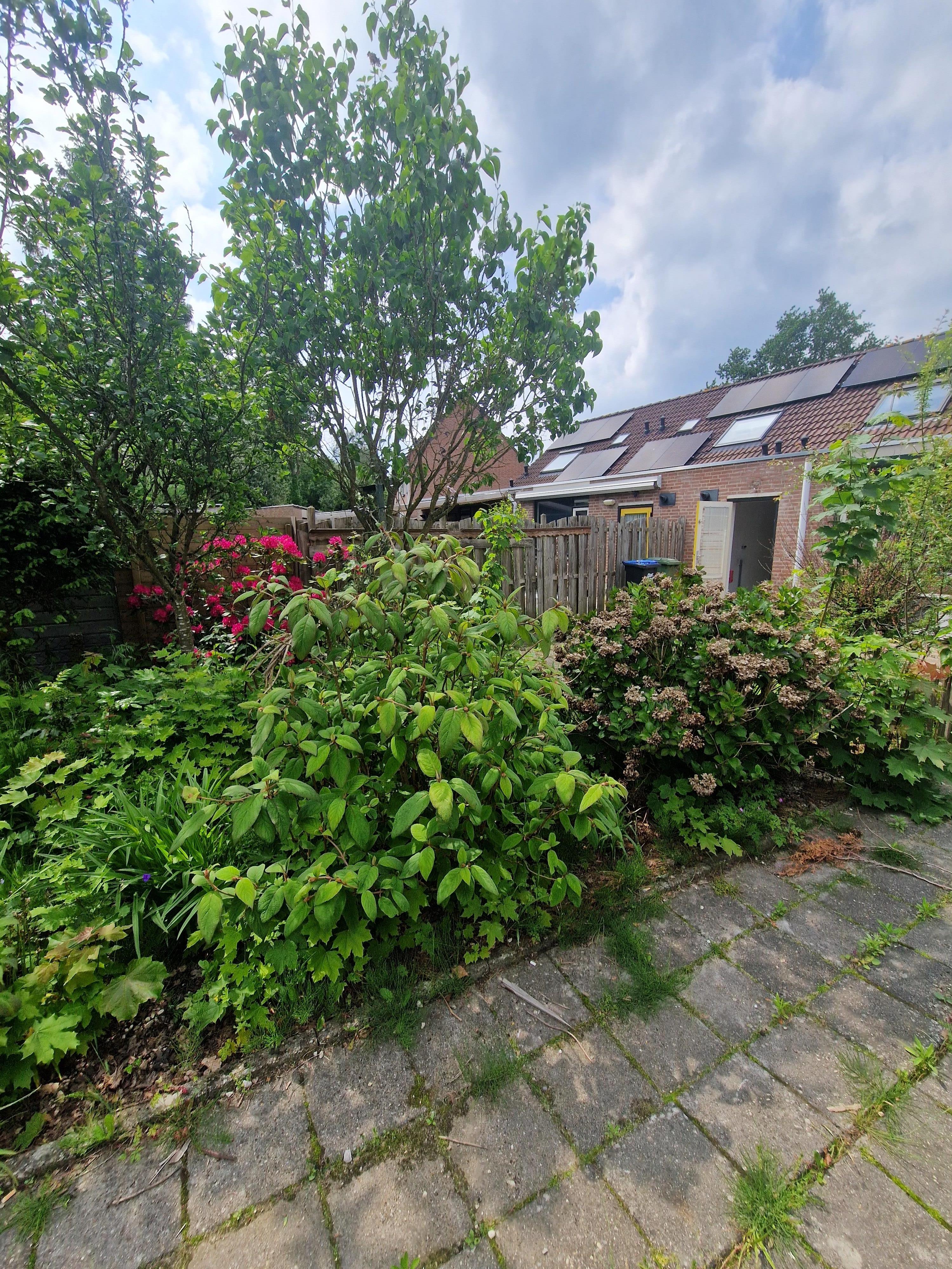 Heer Zegerstraat 52