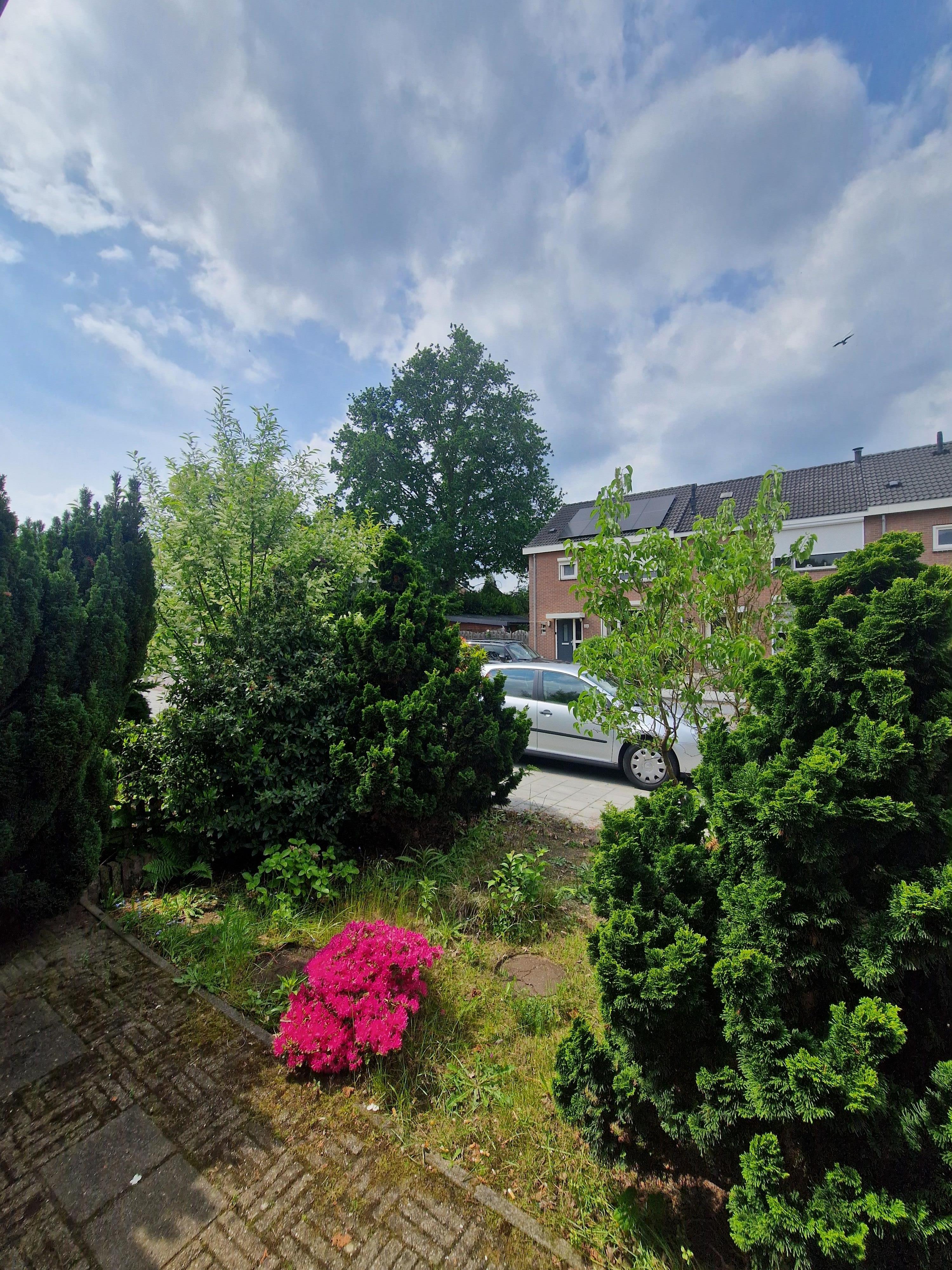 Heer Zegerstraat 52