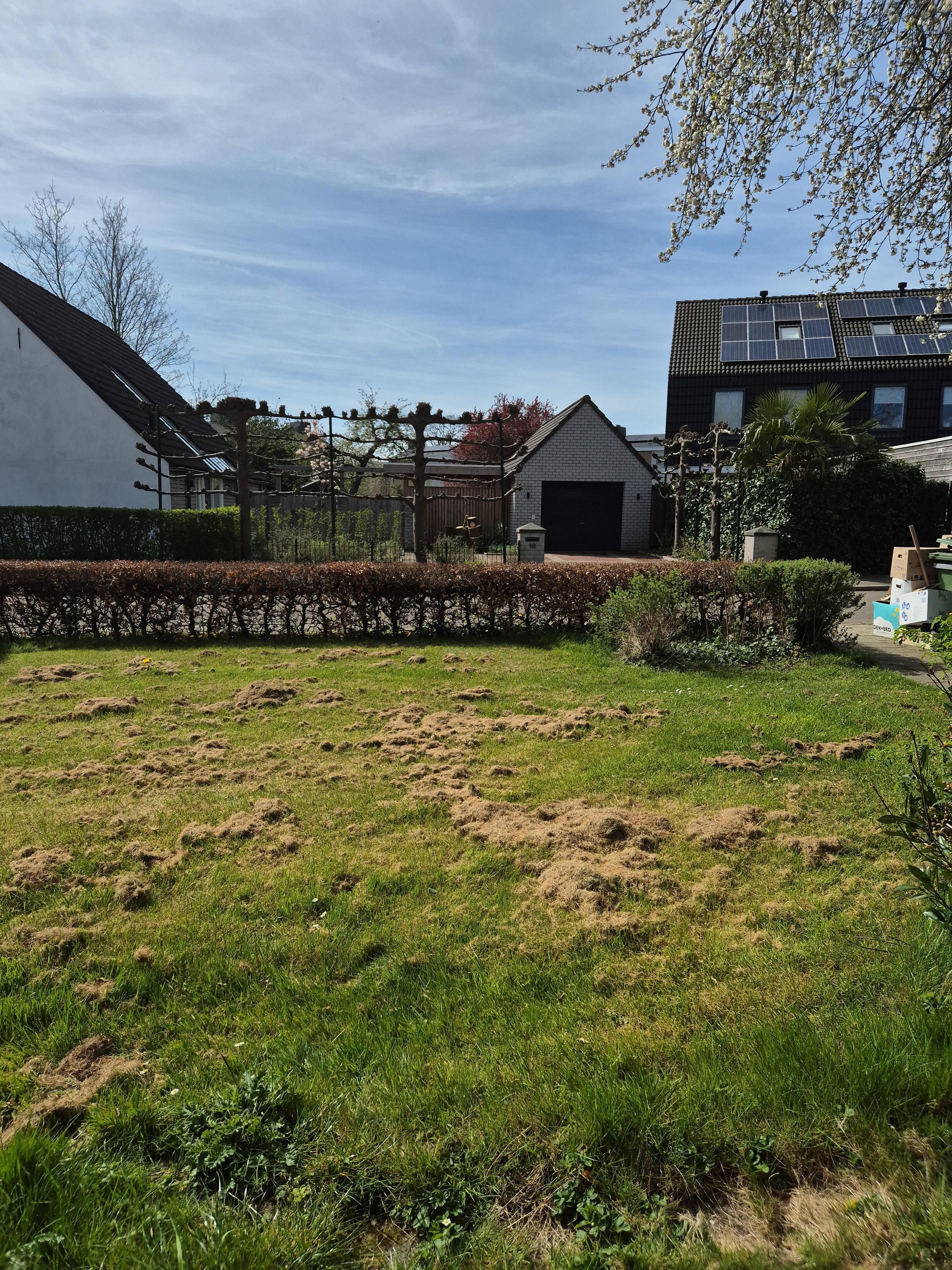 Scherpenhofseweg 19