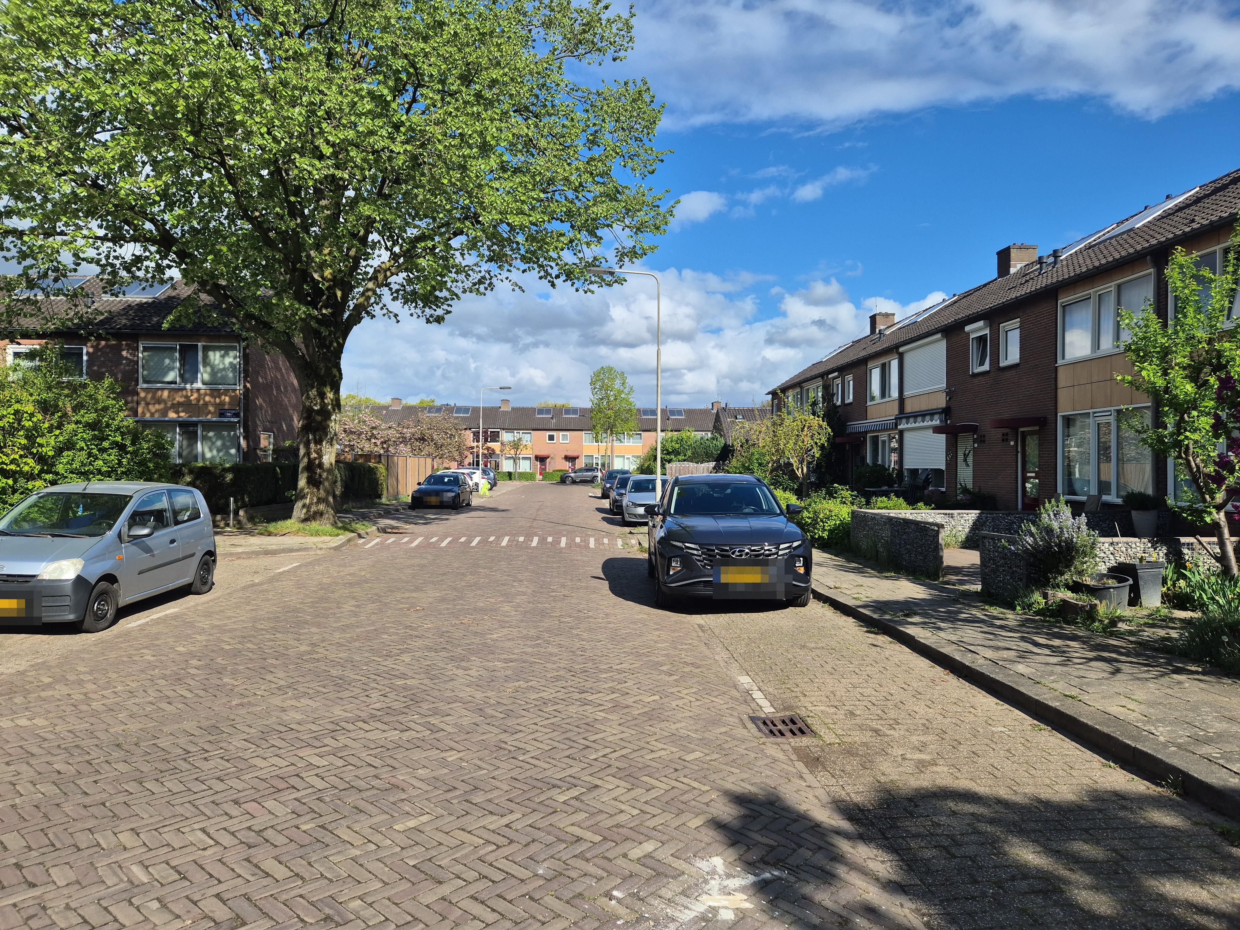 Terhorststraat 17