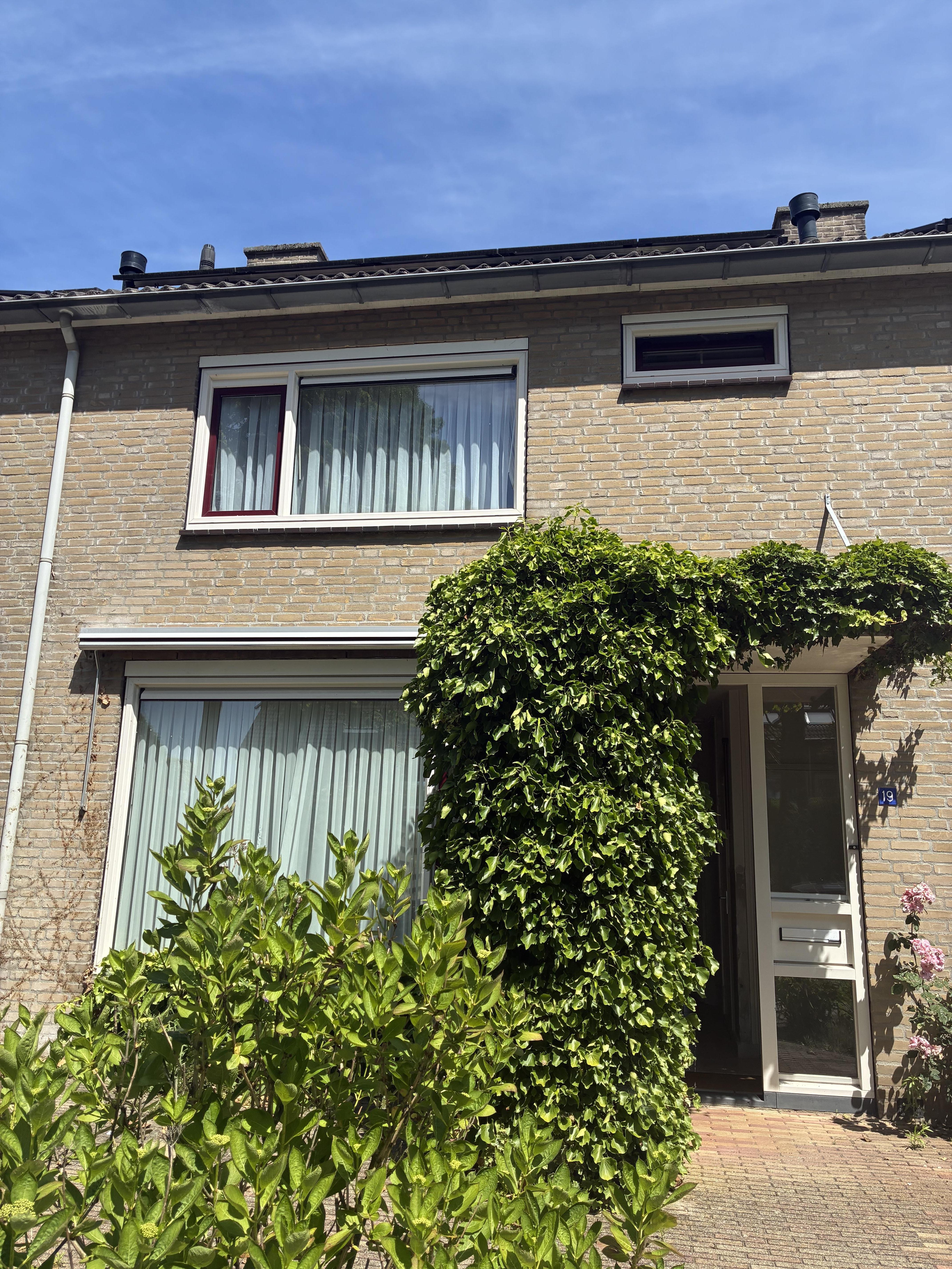 Goudwindestraat 19