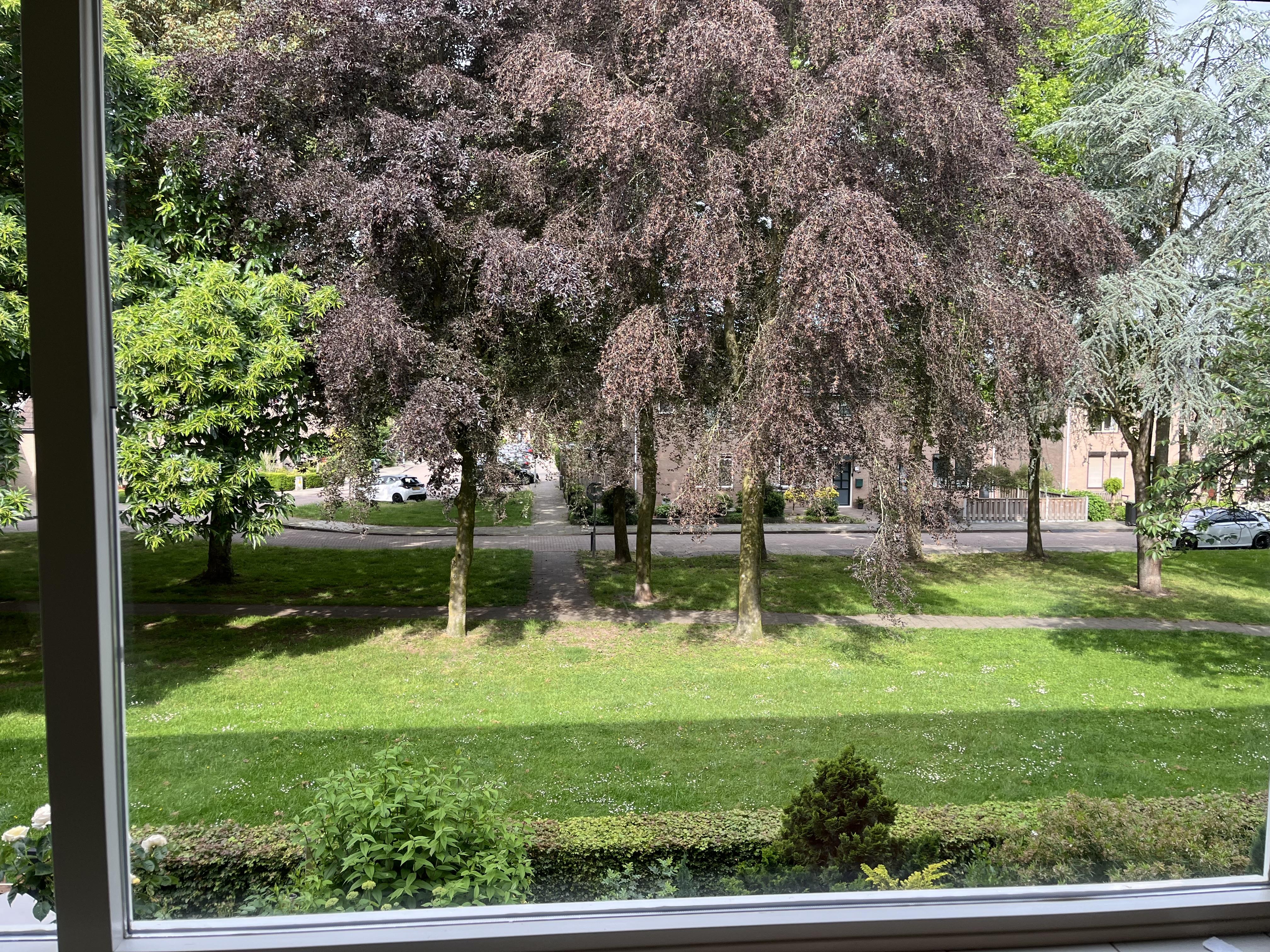 Thuvinepark 59, 6921 AR Duiven, Nederland