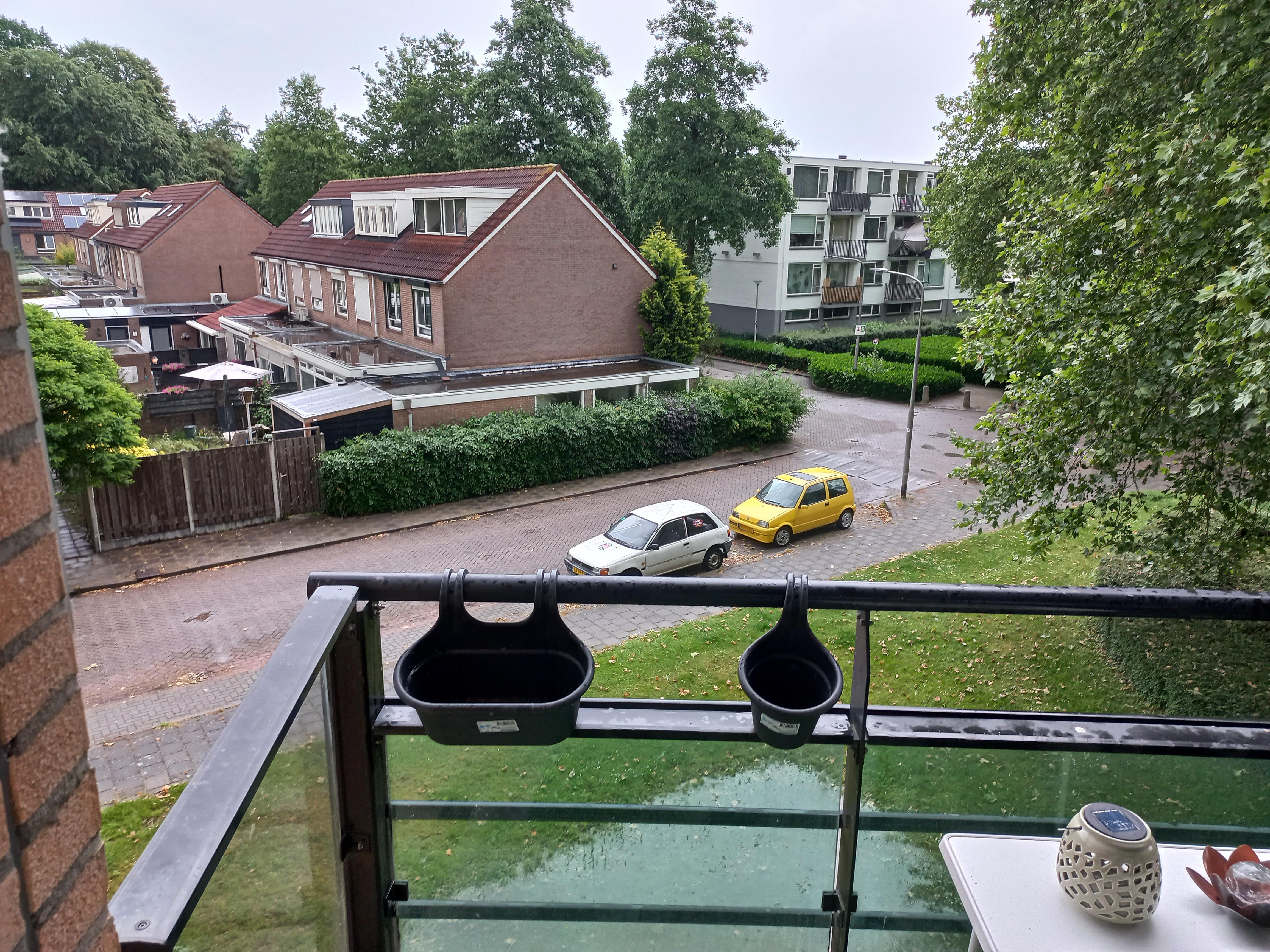 Albanystraat 52