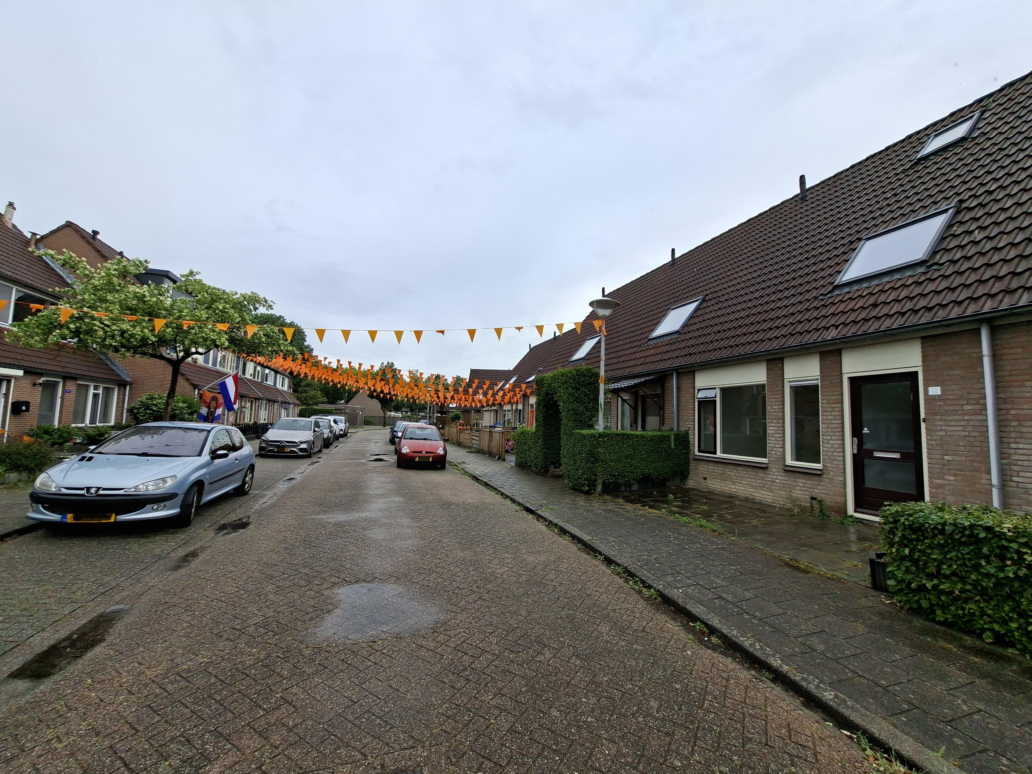 Lijnzaadveld 11