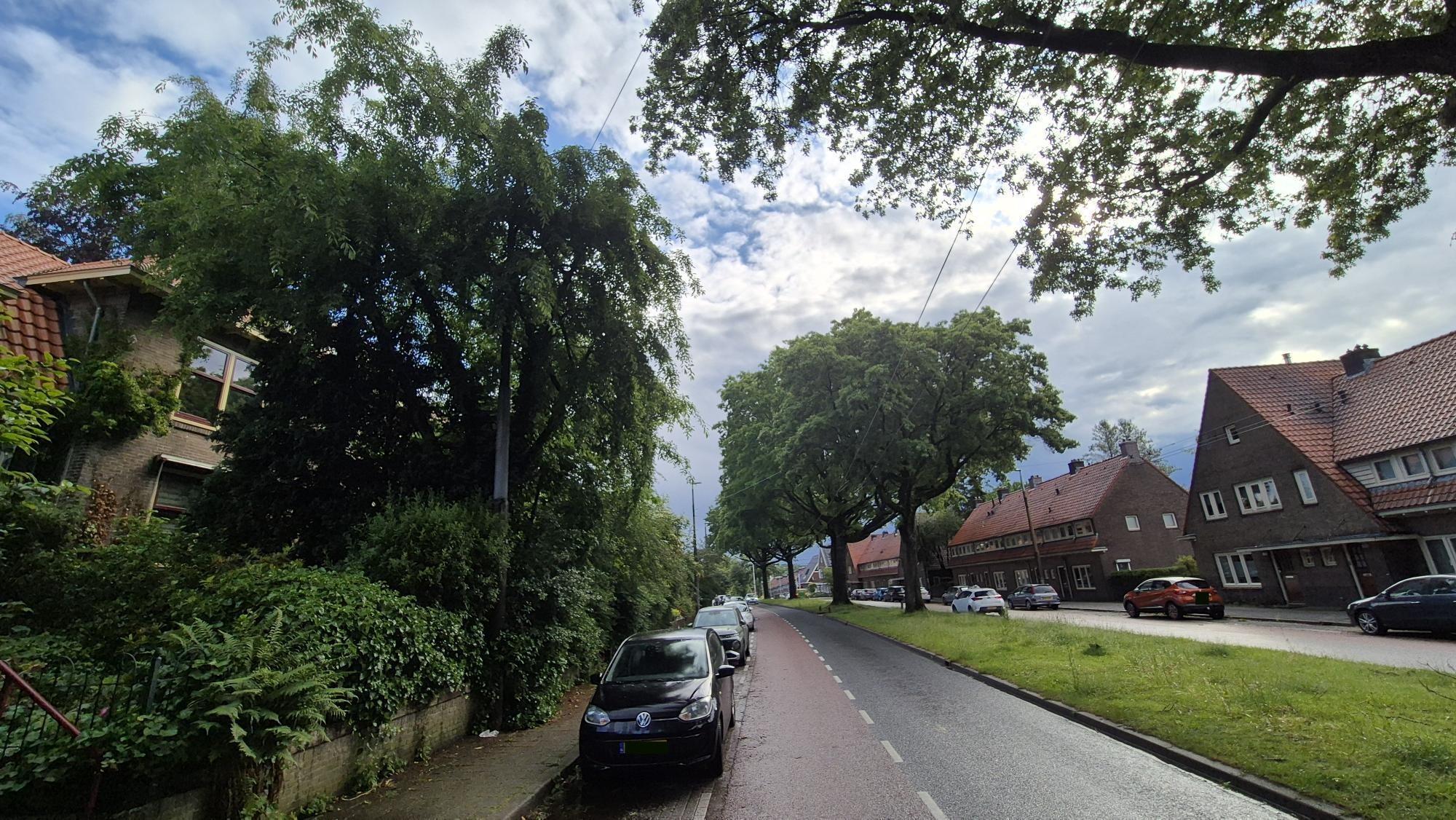 Rosendaalseweg 703