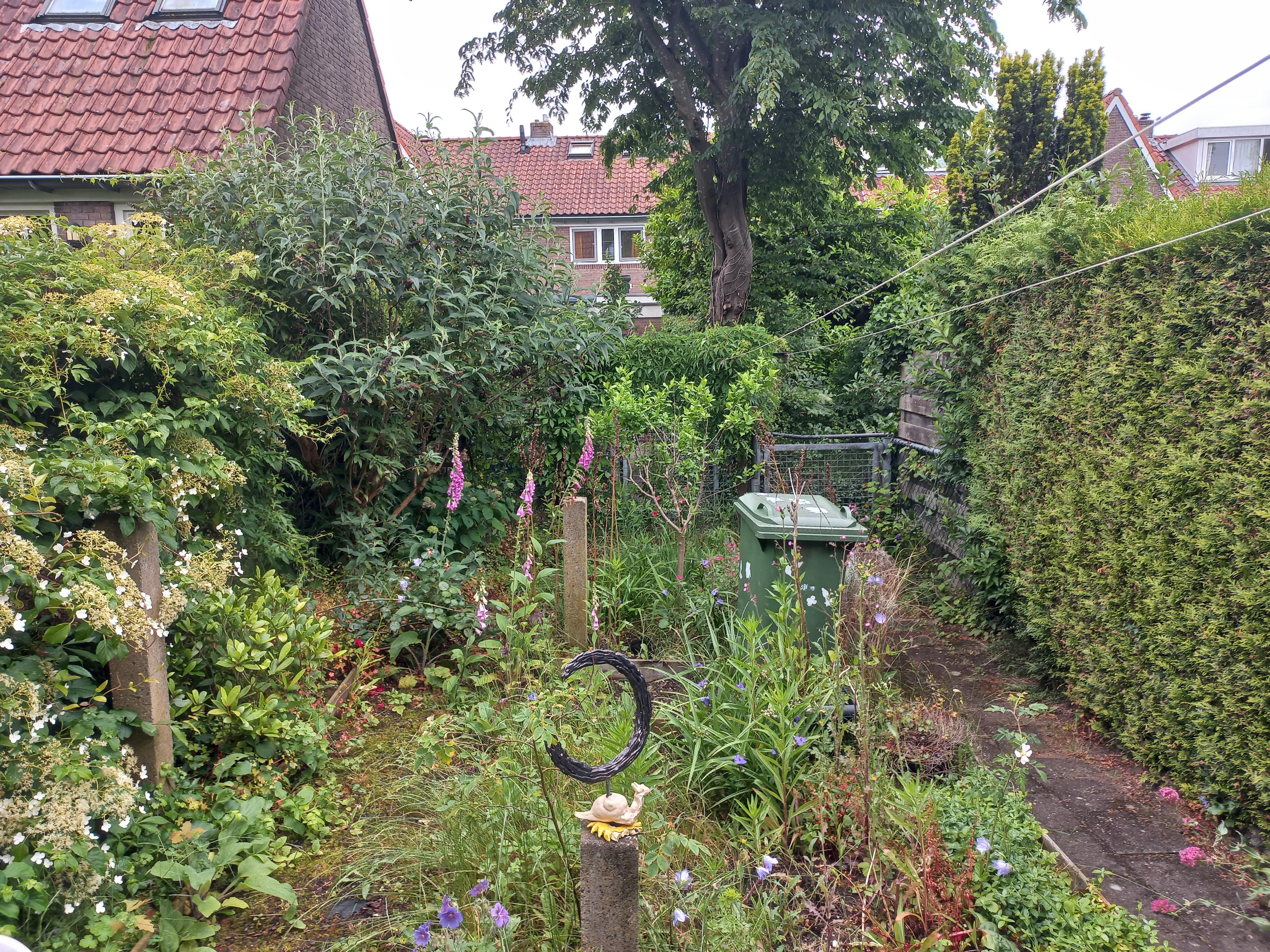 Elzenstraat 44