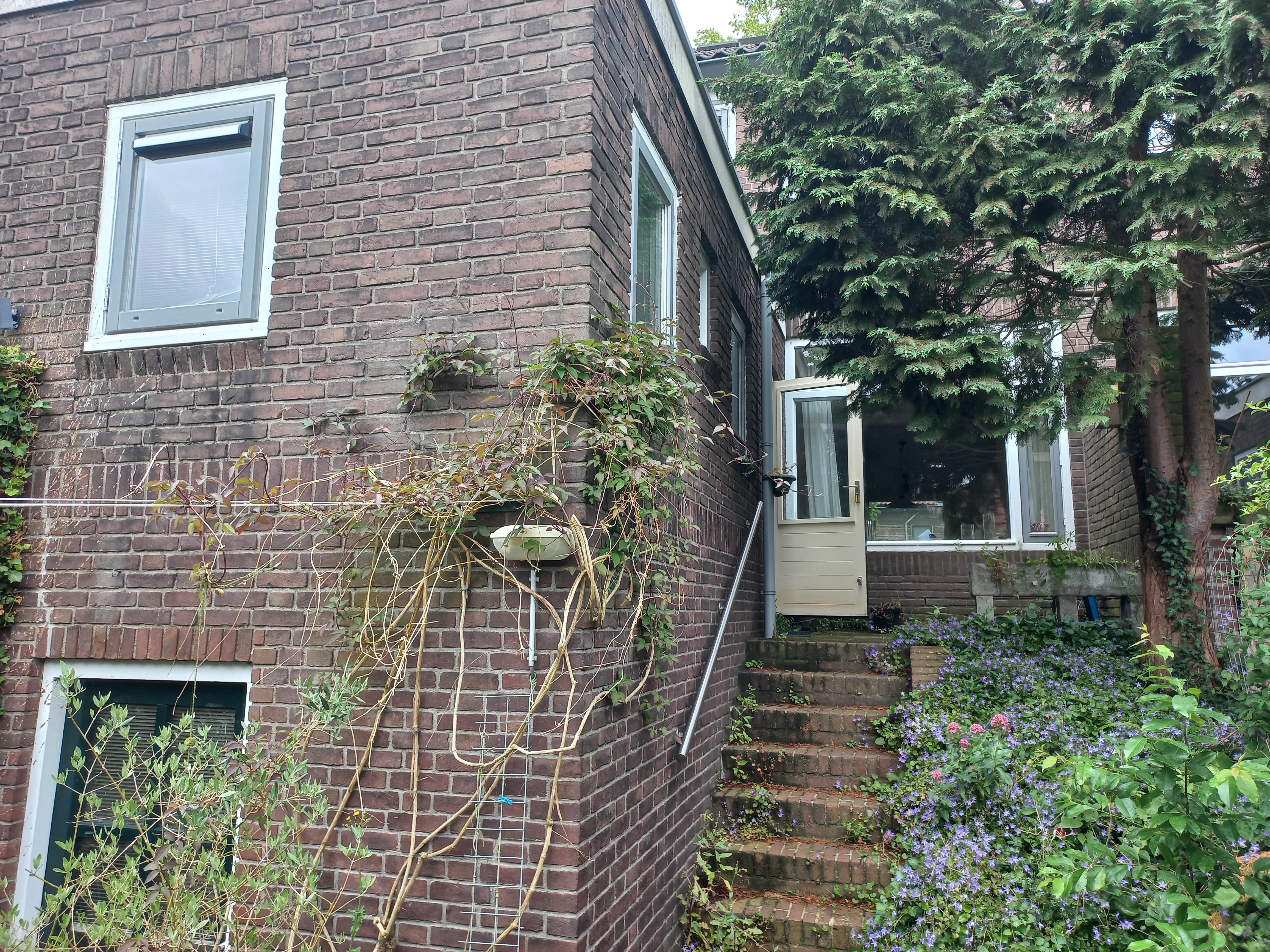 Elzenstraat 44