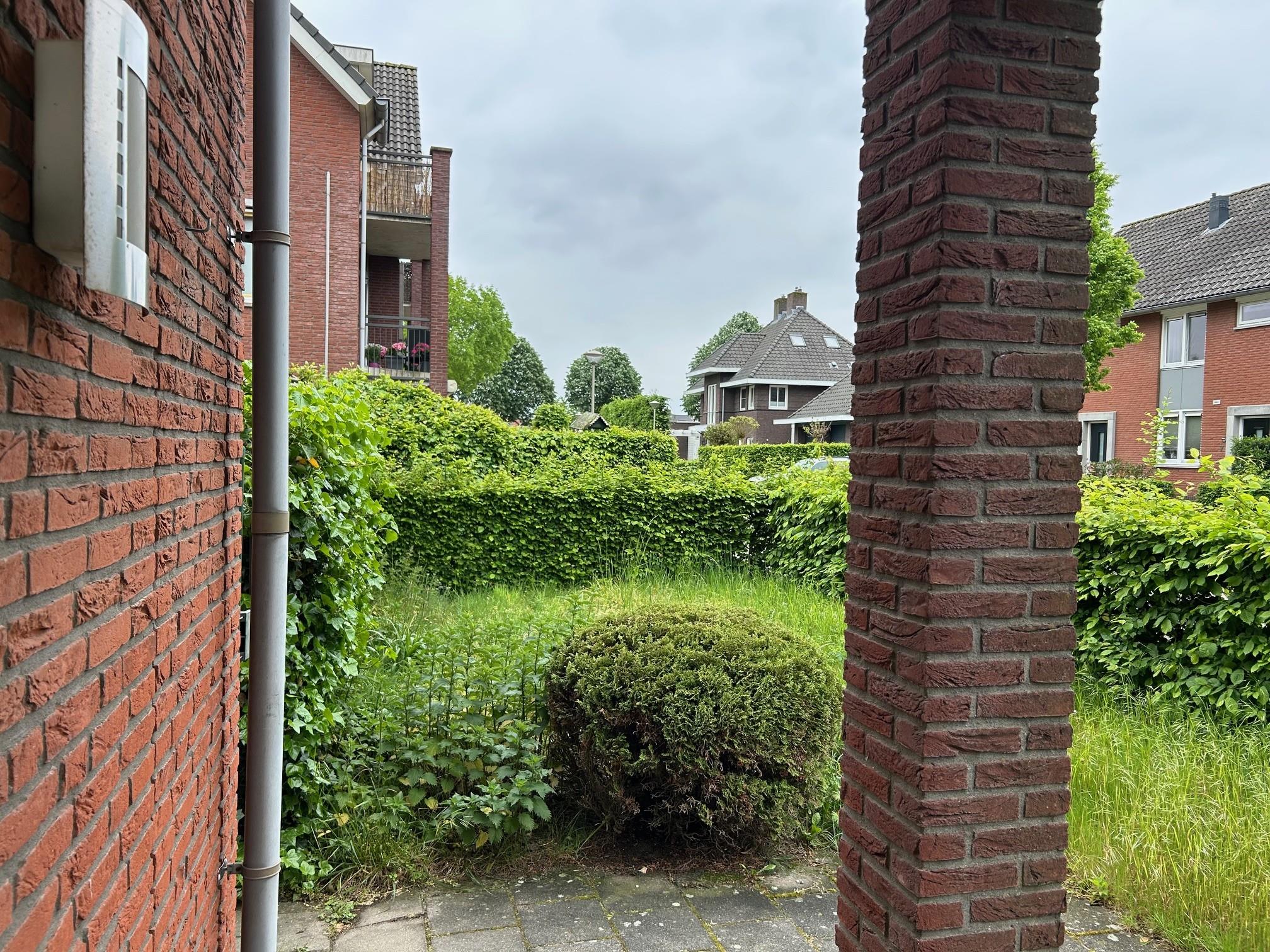 Klompenmaker 38
