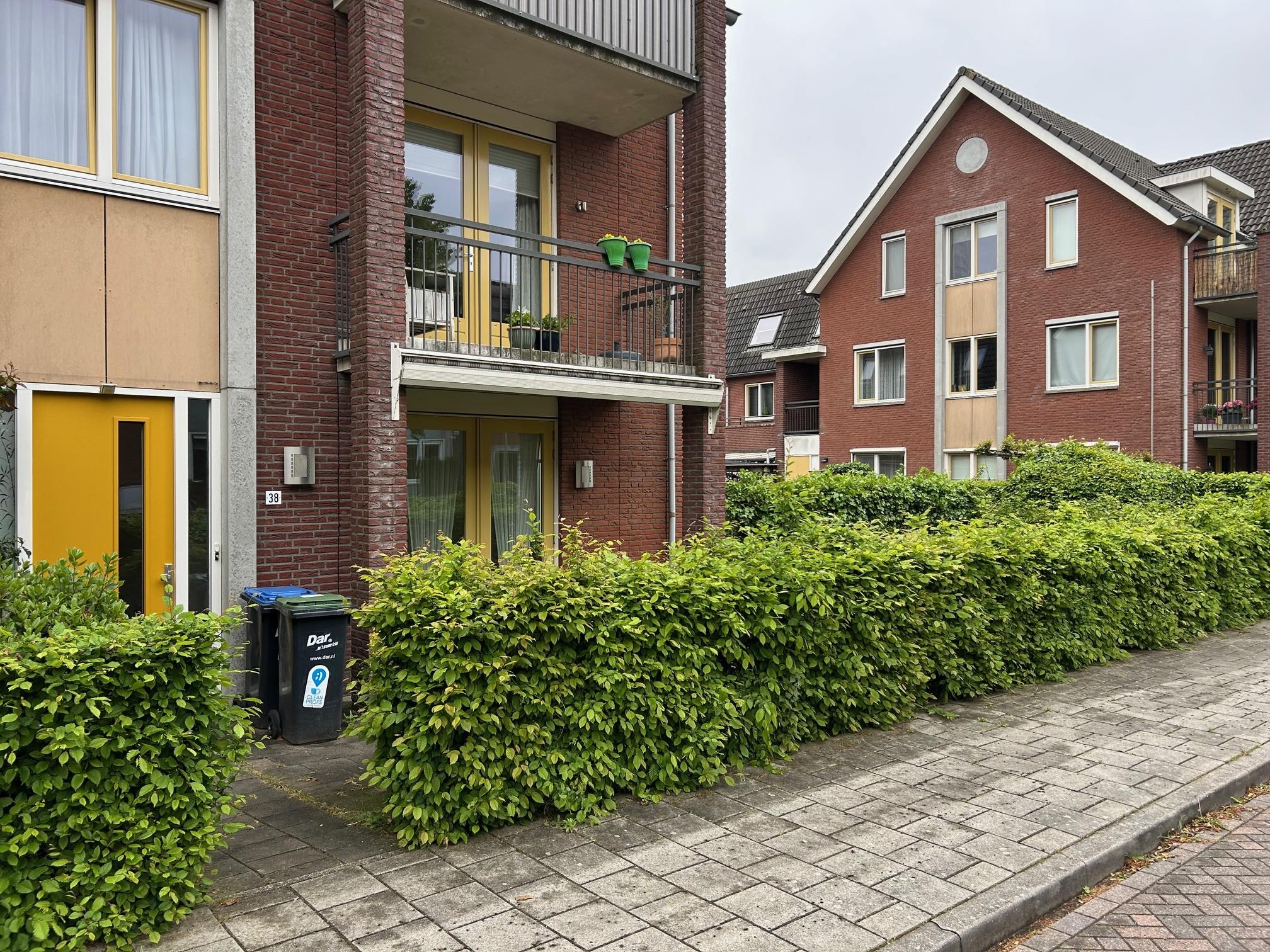 Klompenmaker 38