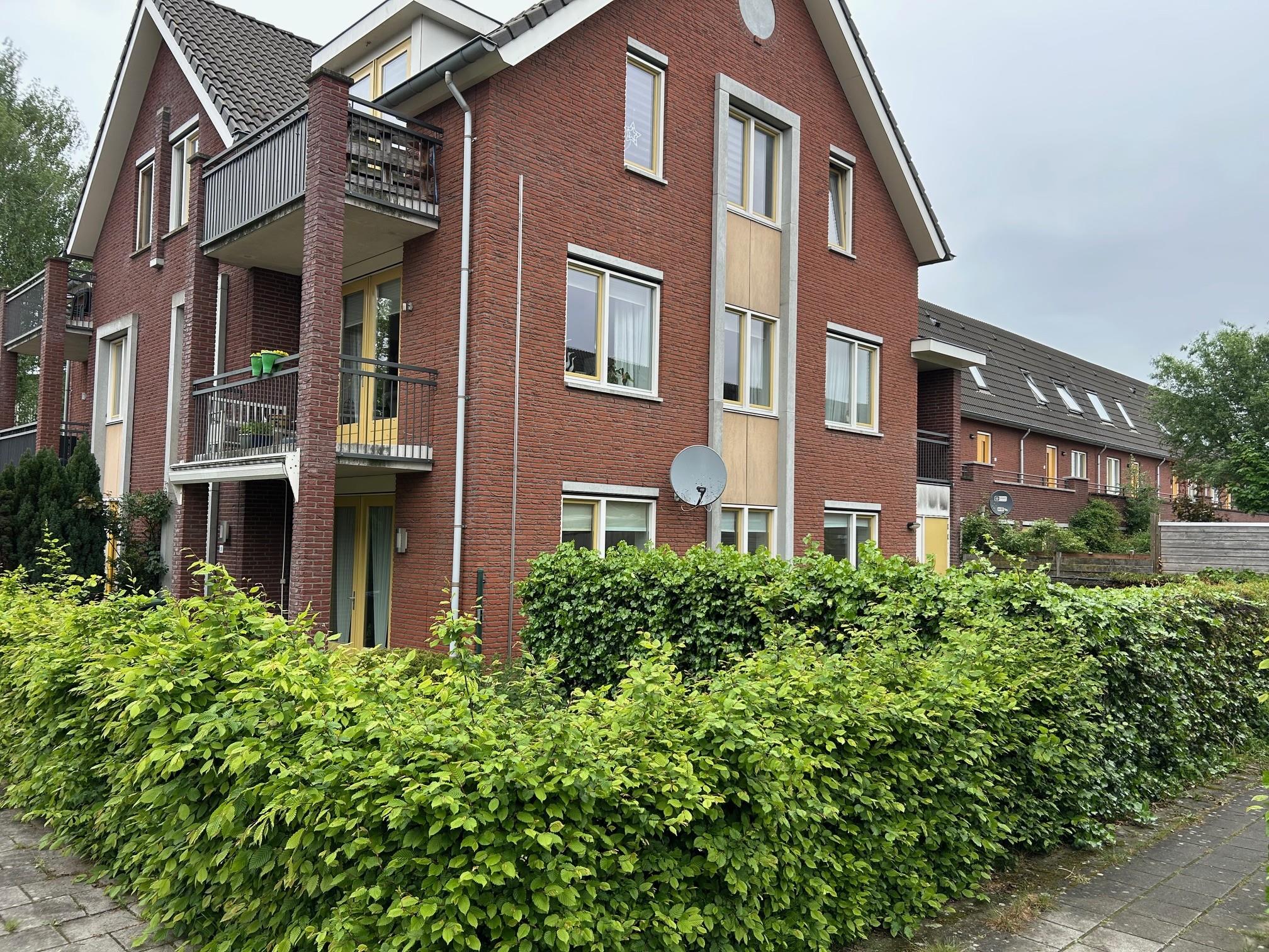 Klompenmaker 38