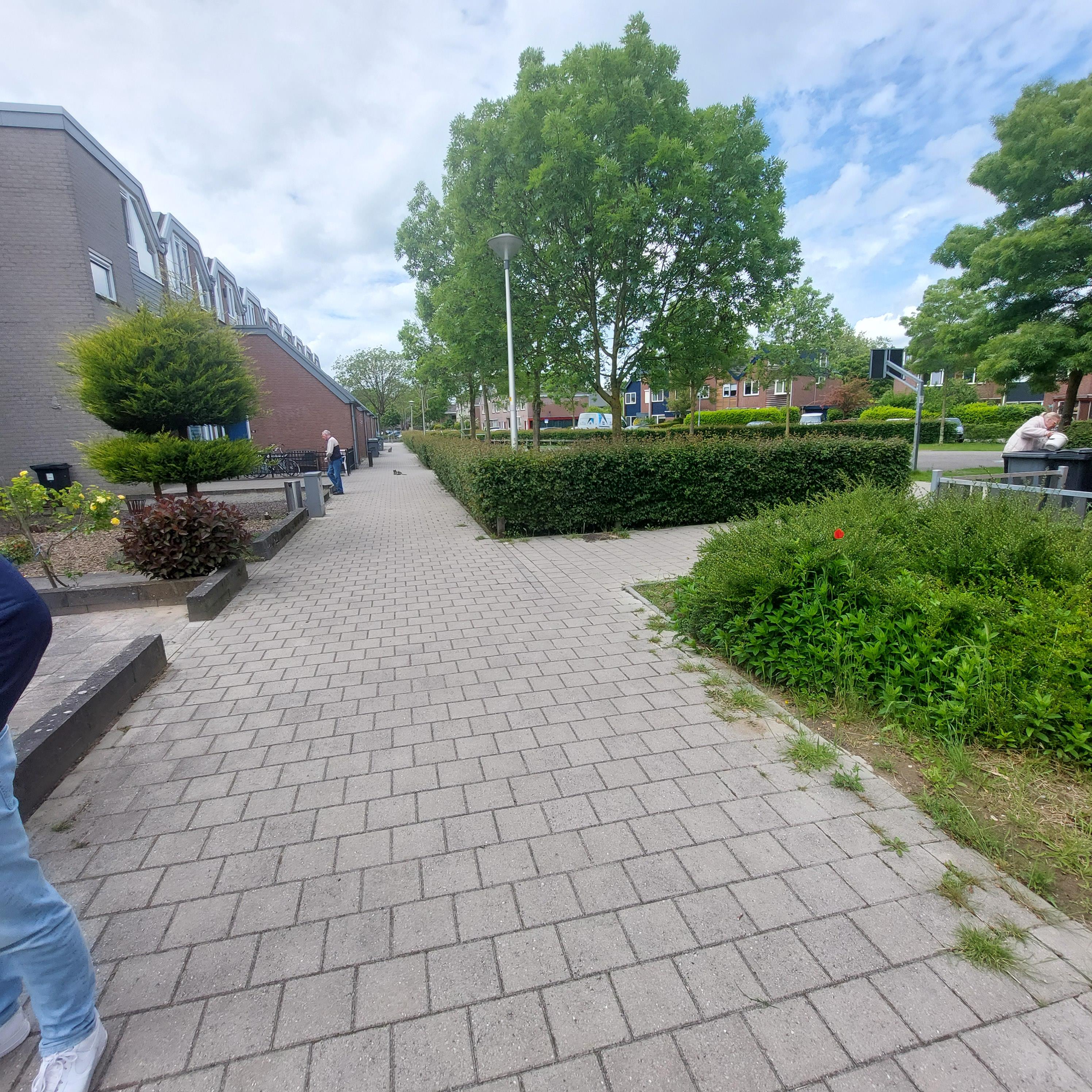 Holthuizerdreef 89