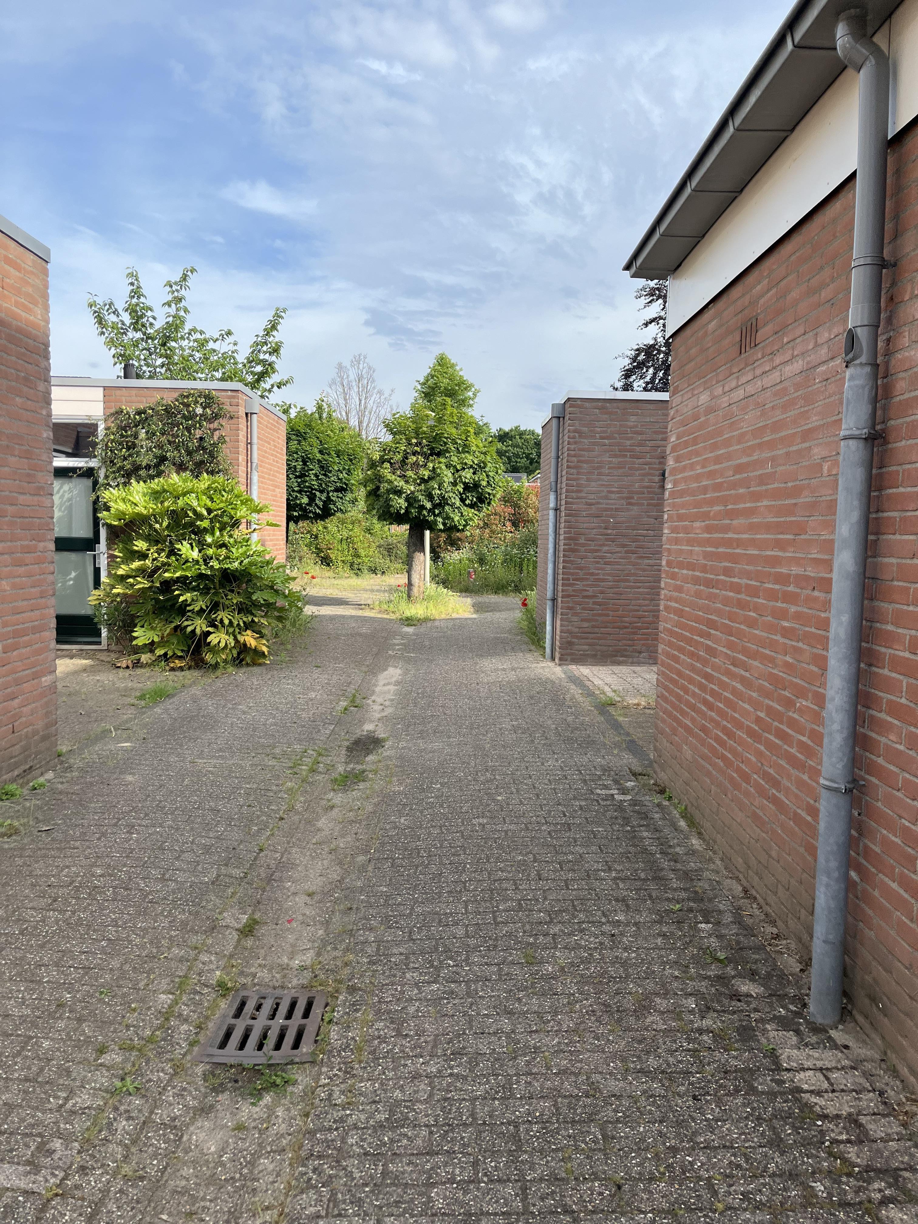 Sleedoorn 22