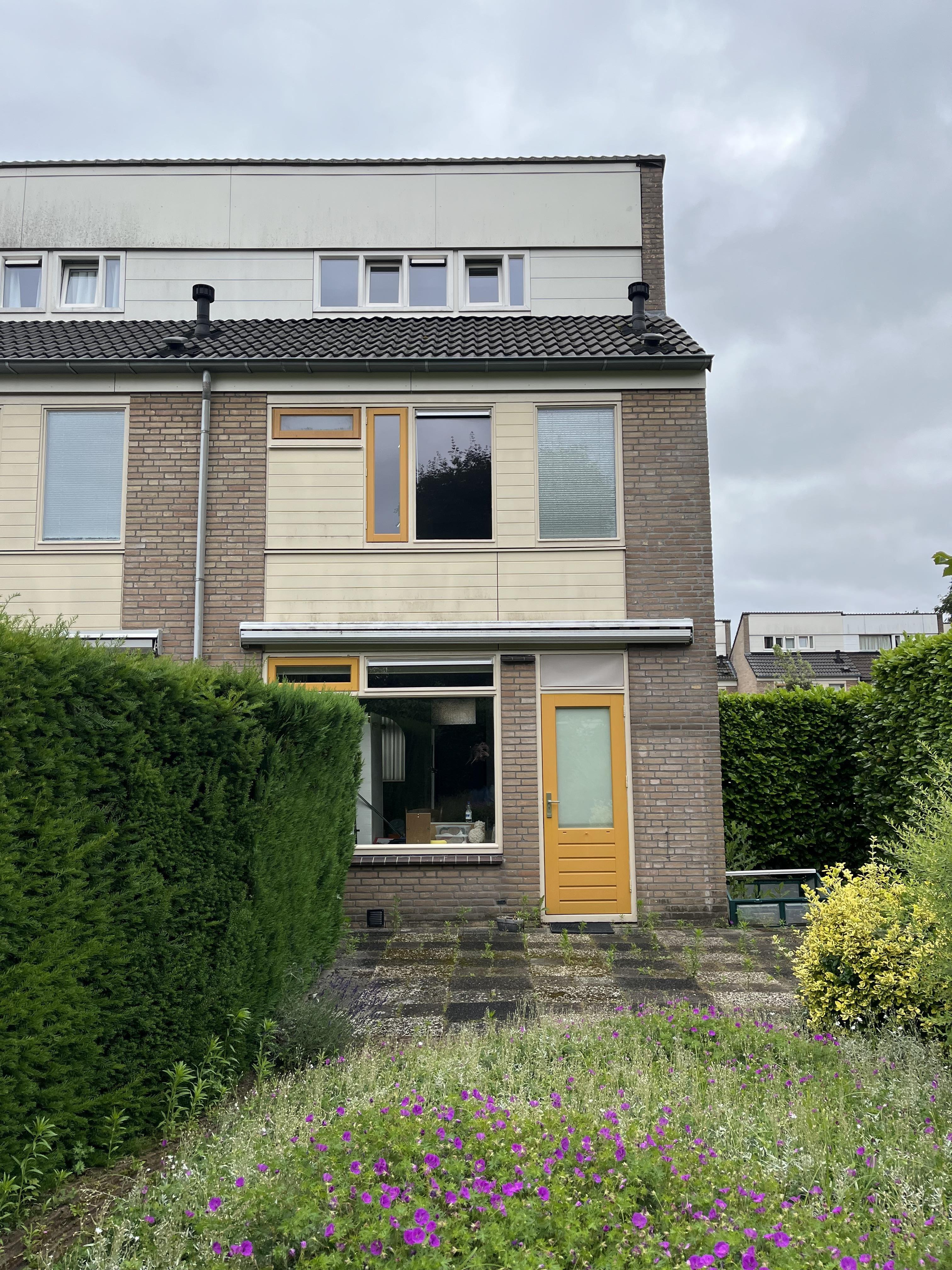 Koningsholster 29
