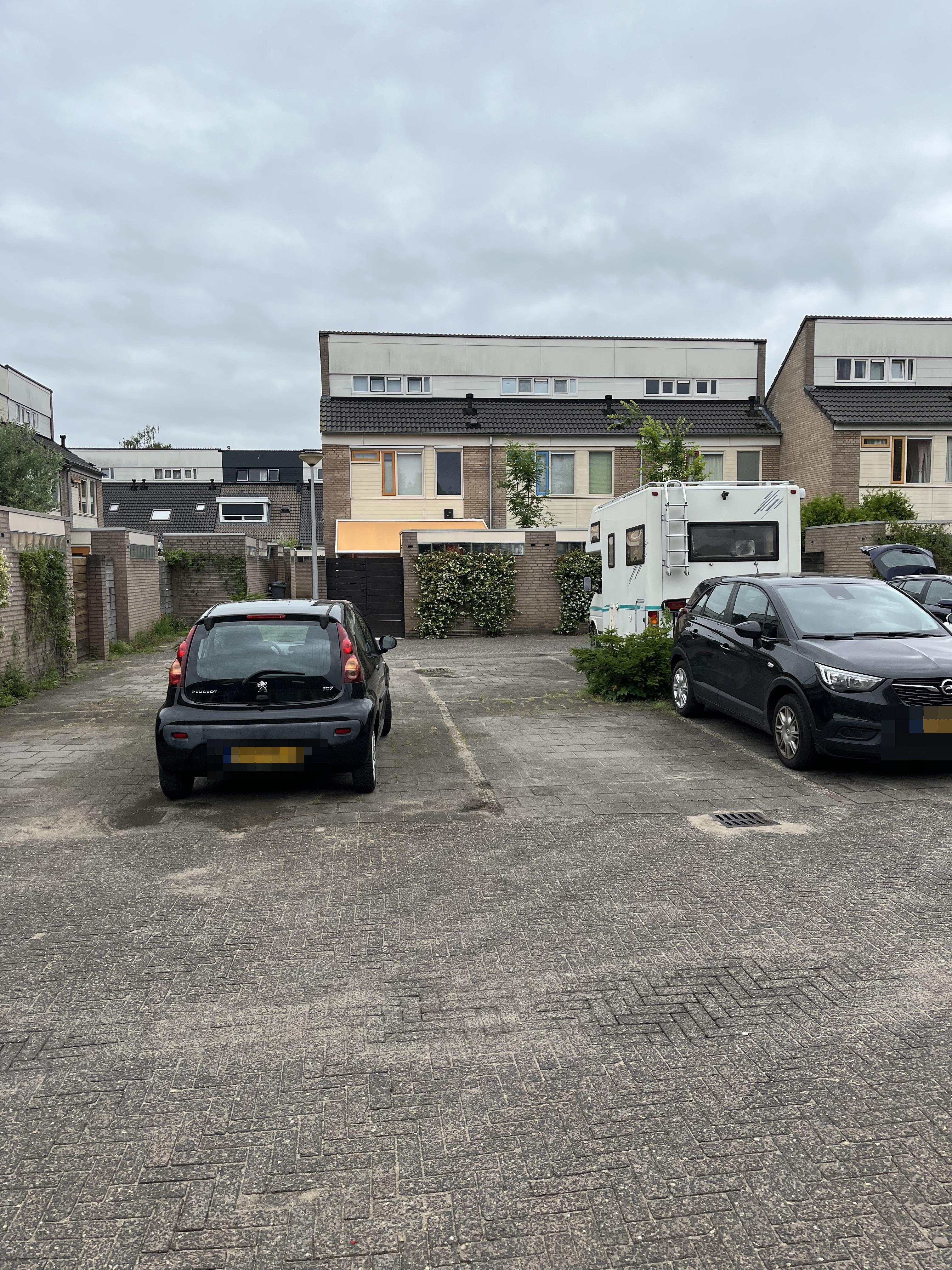 Koningsholster 29