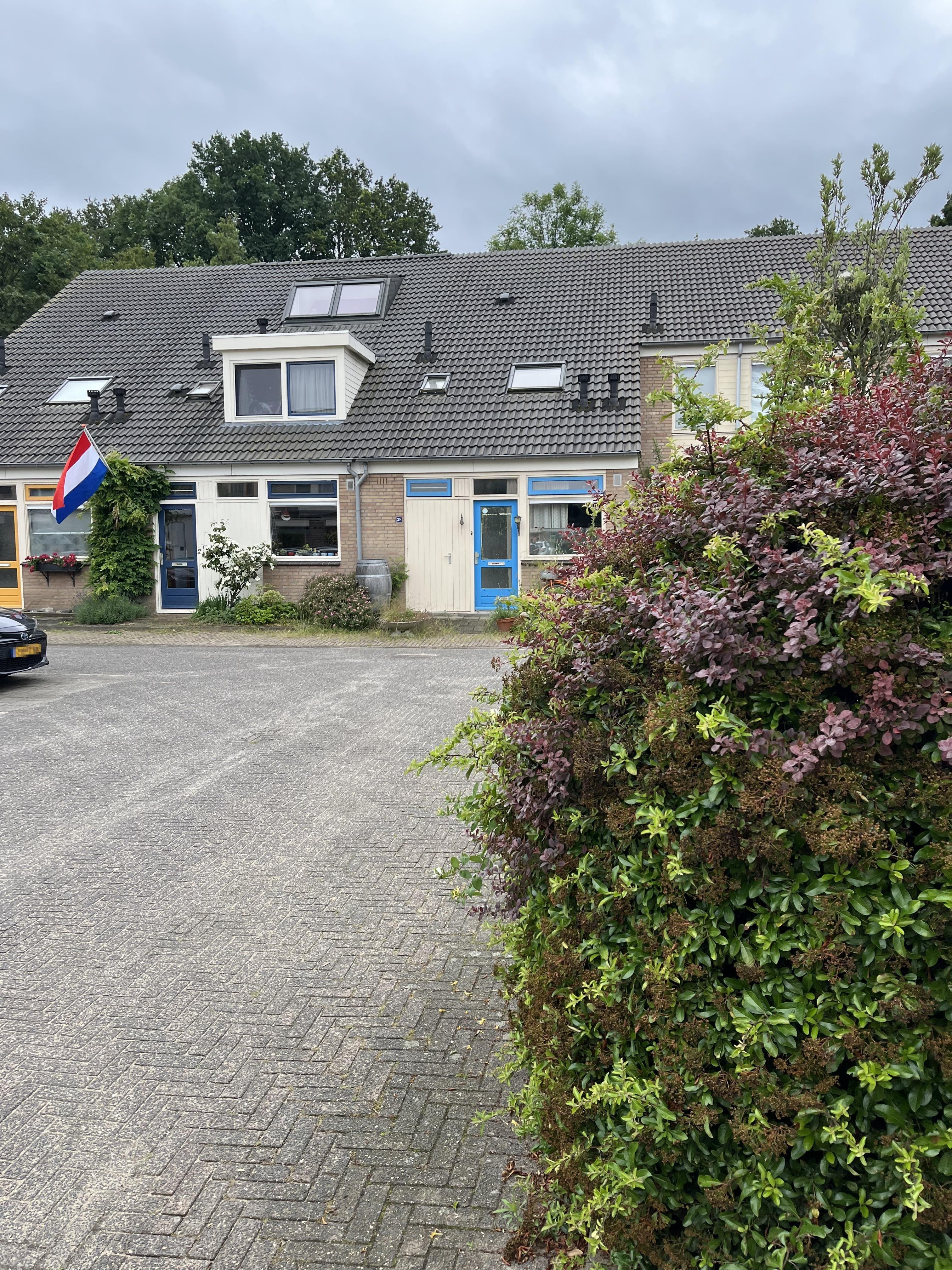 Koningsholster 29