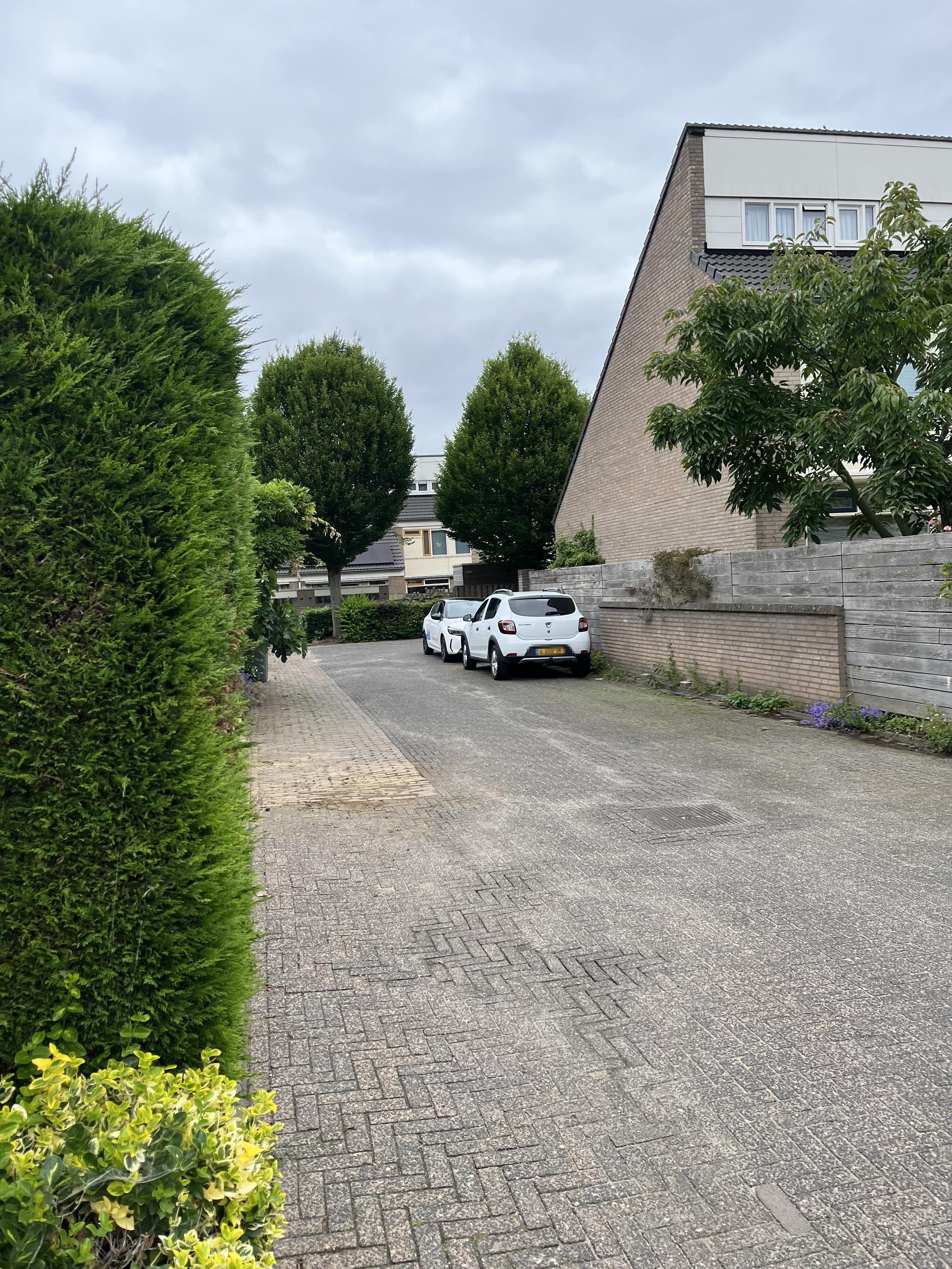 Koningsholster 29