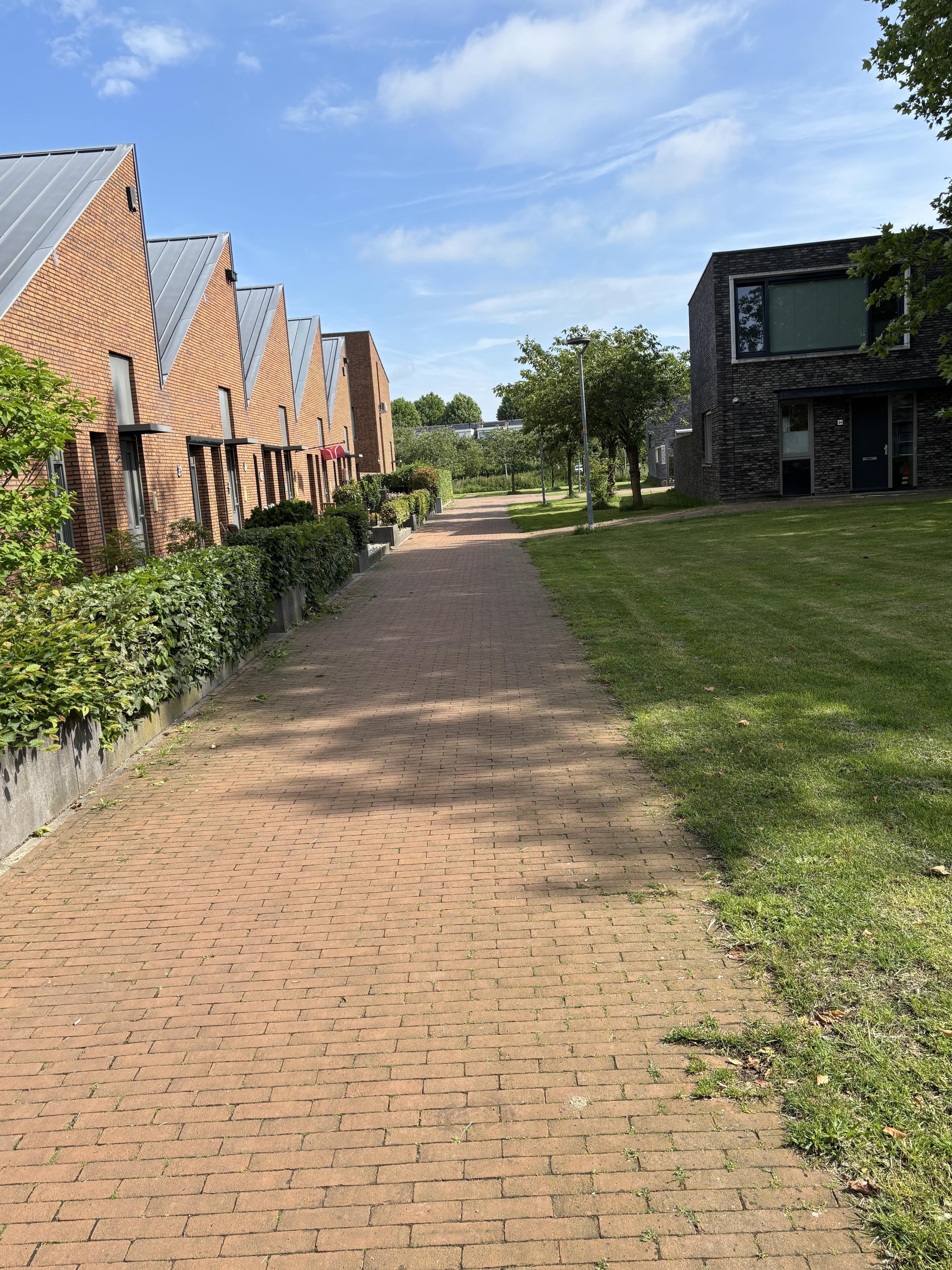 Meerkoetstraat 46