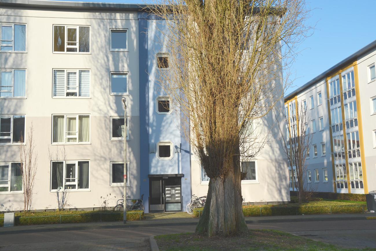 Andoornstraat 84