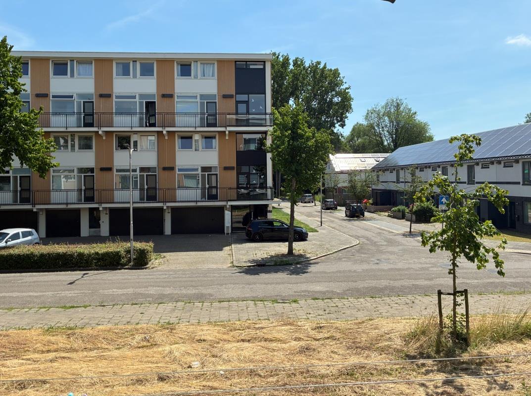 Meijhorst 2740