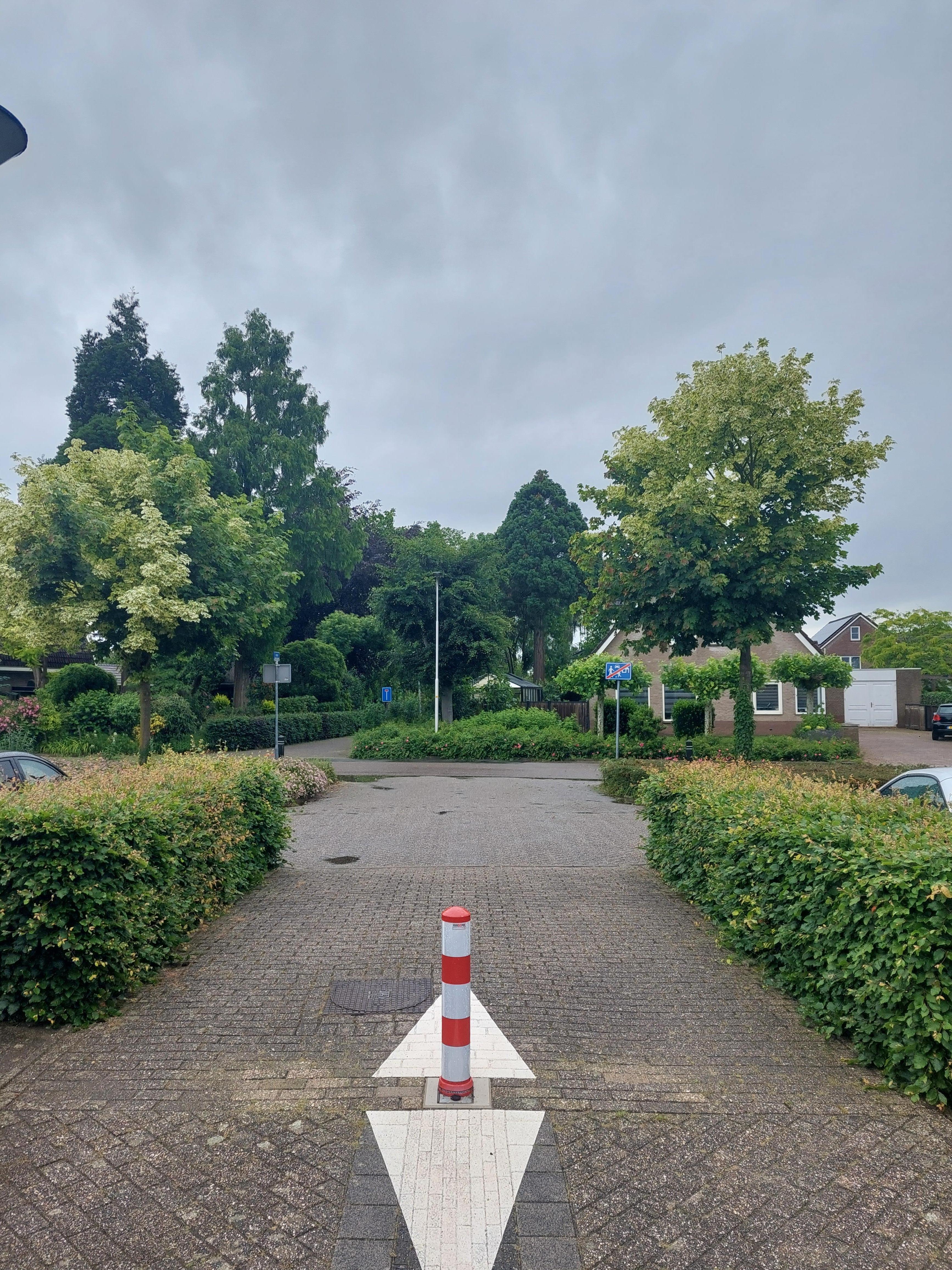 Berkhof 4