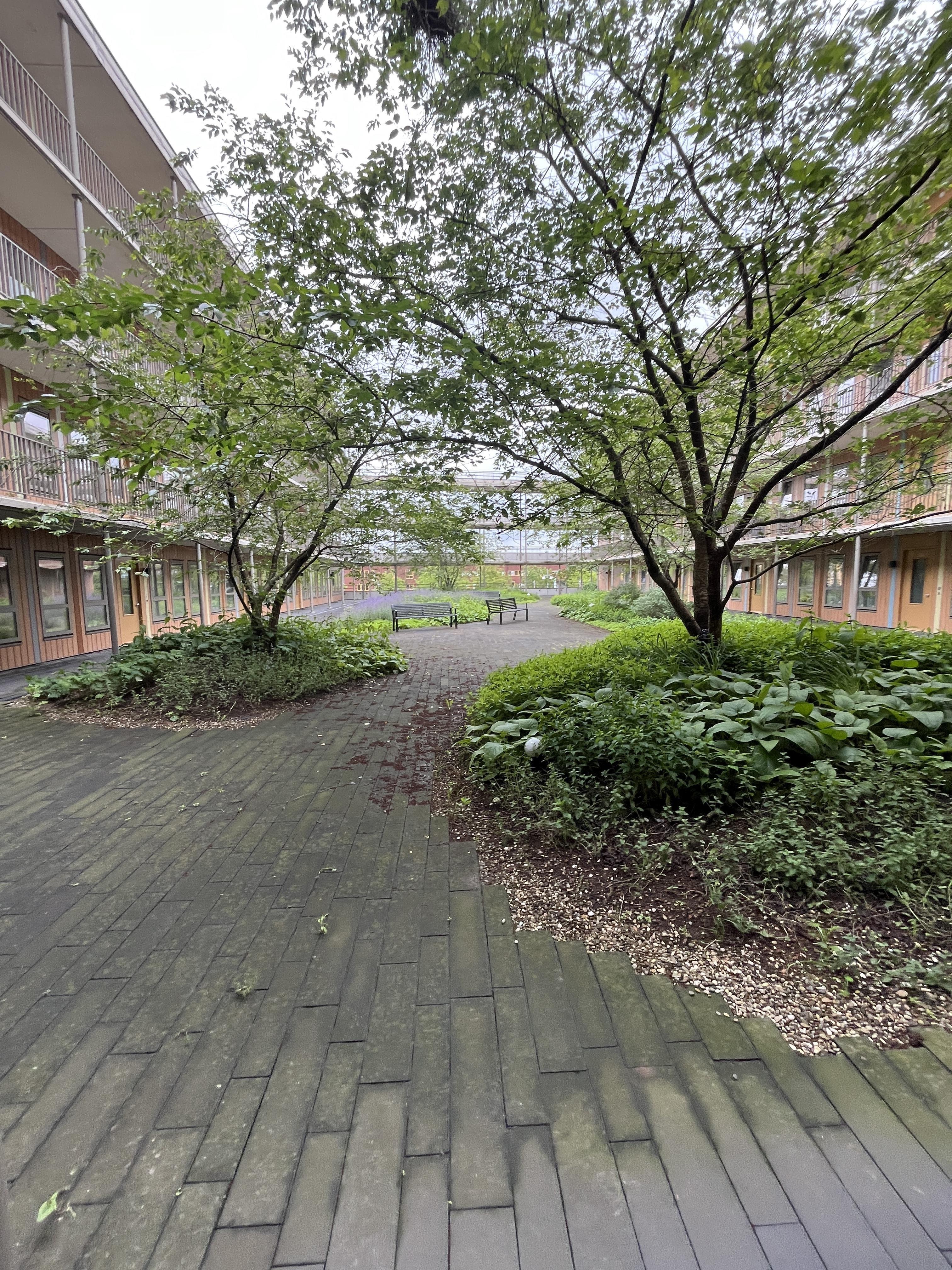 Frankrijkstraat 21