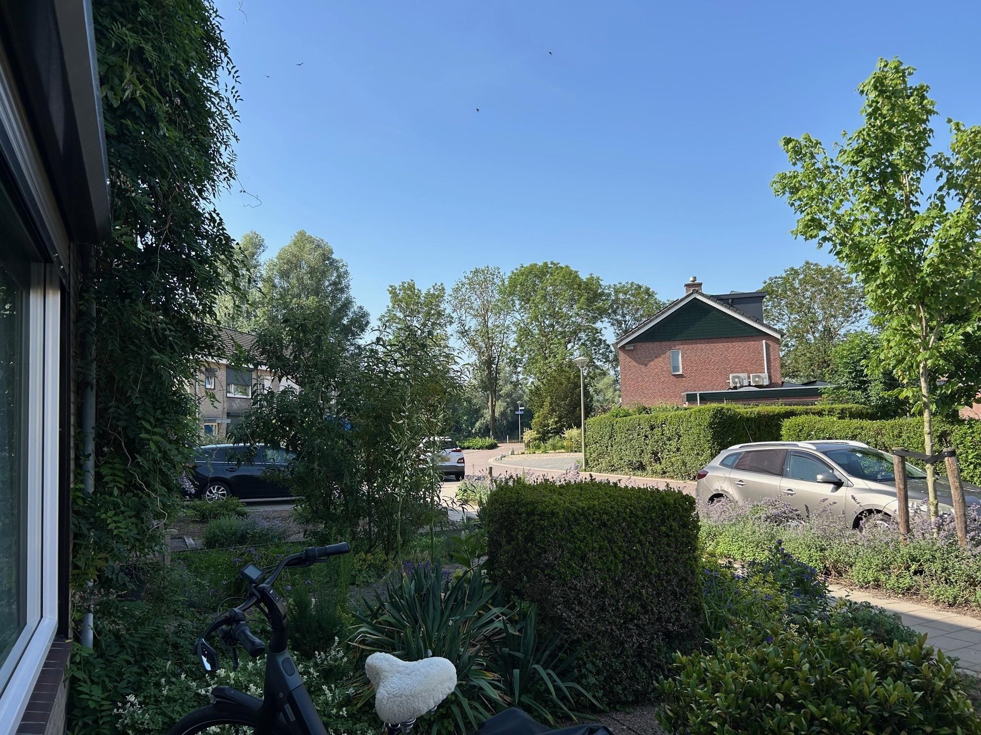 Prins Hendrikstraat 20