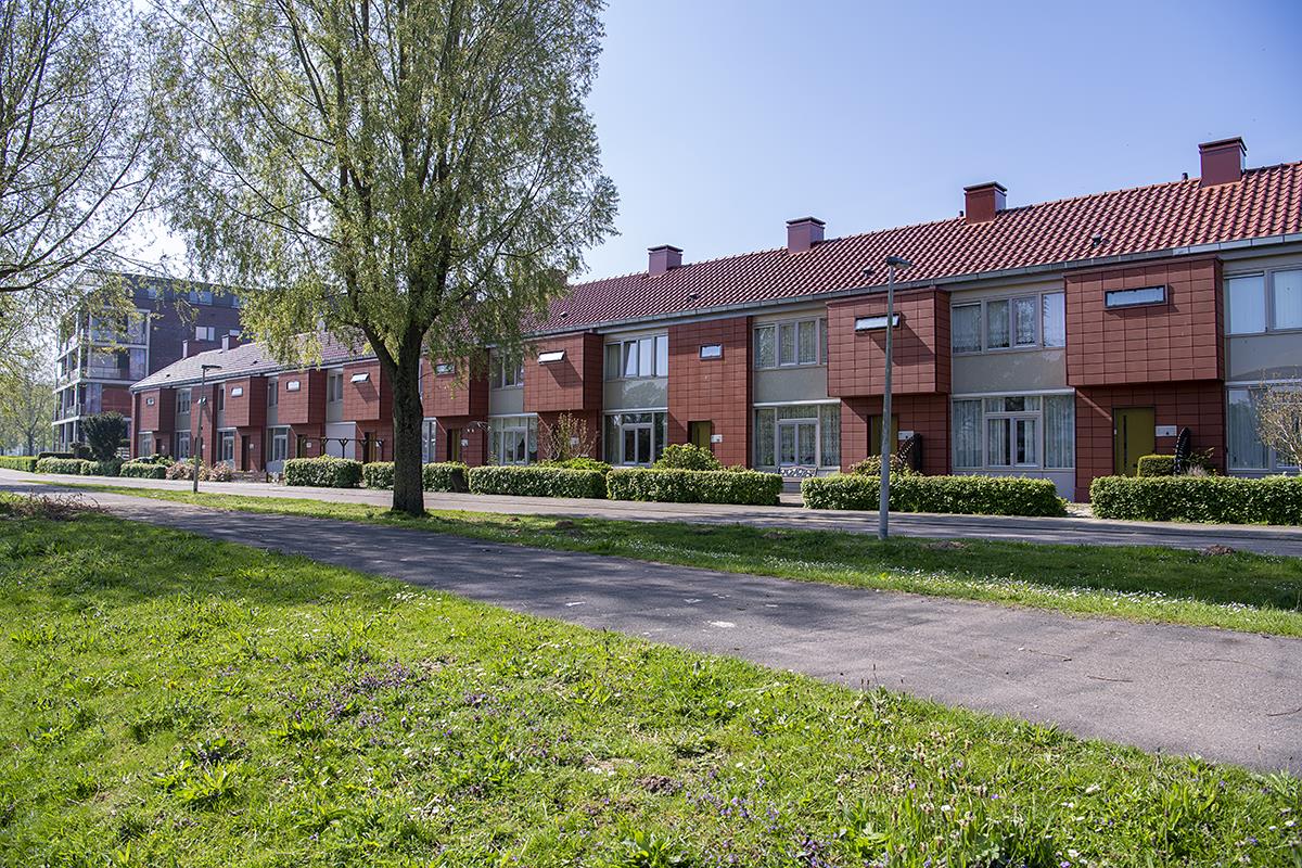 Speenkruidpad 10