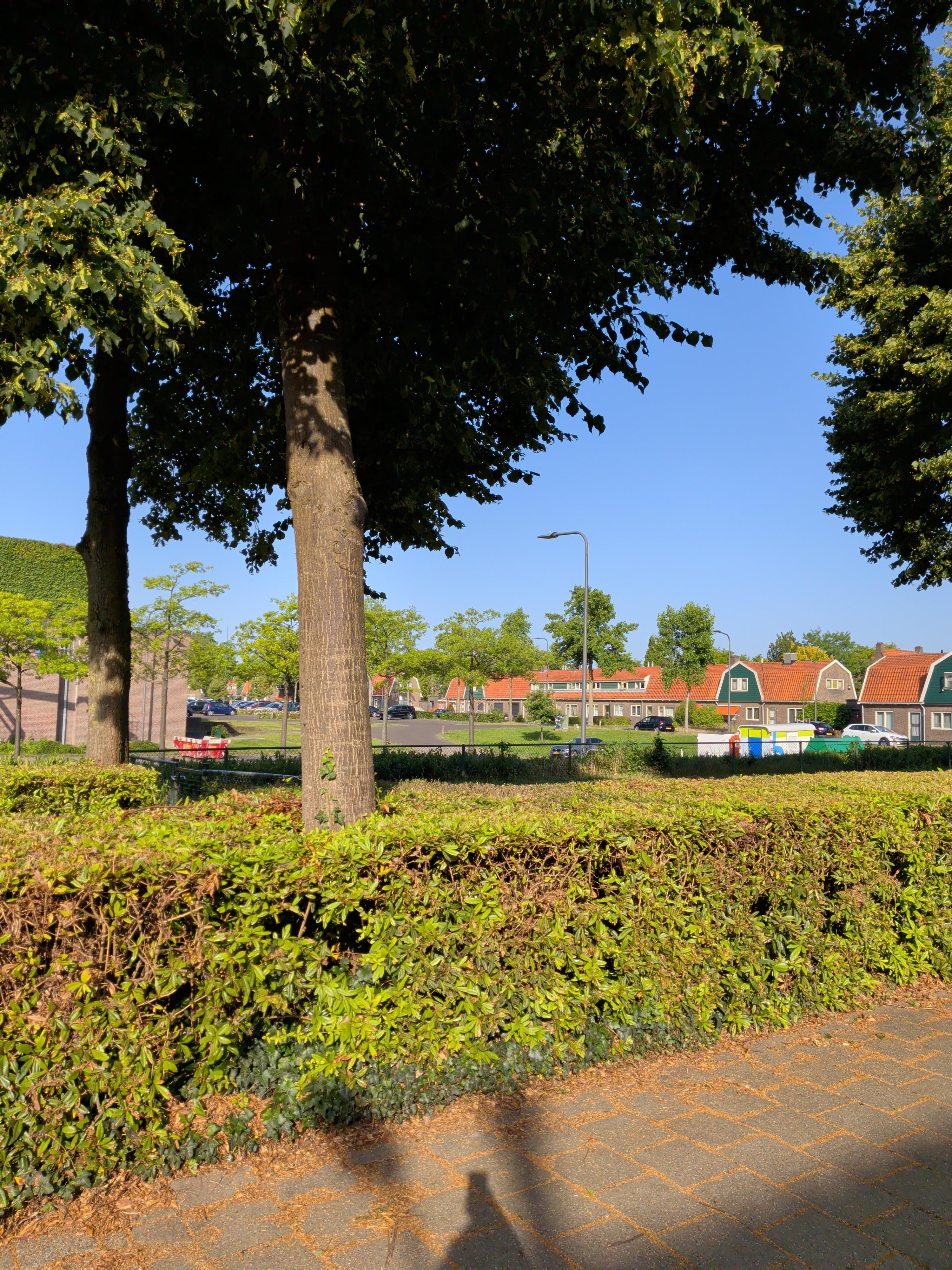 Lindelaan 38