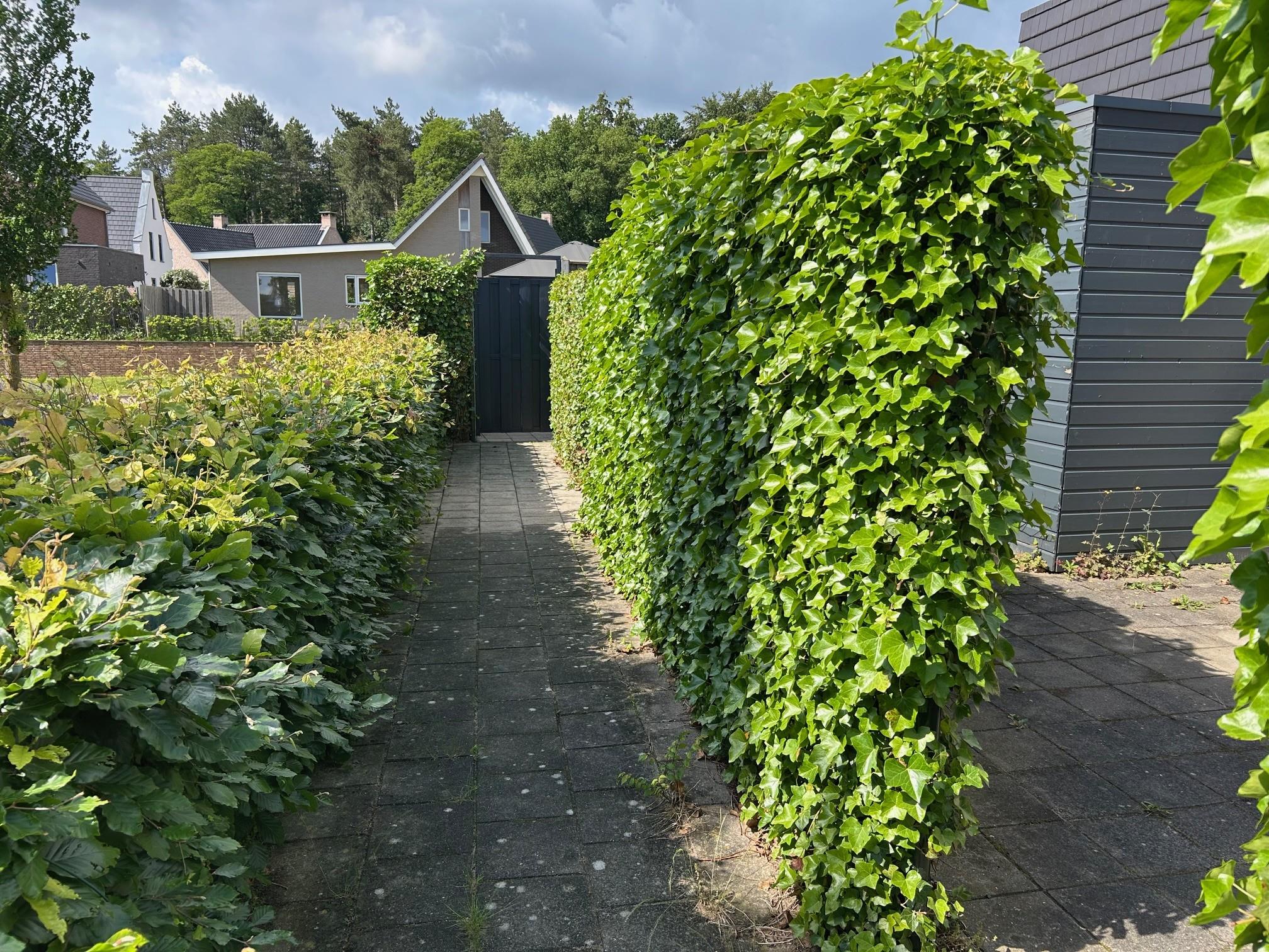 Meikeverstraat 5