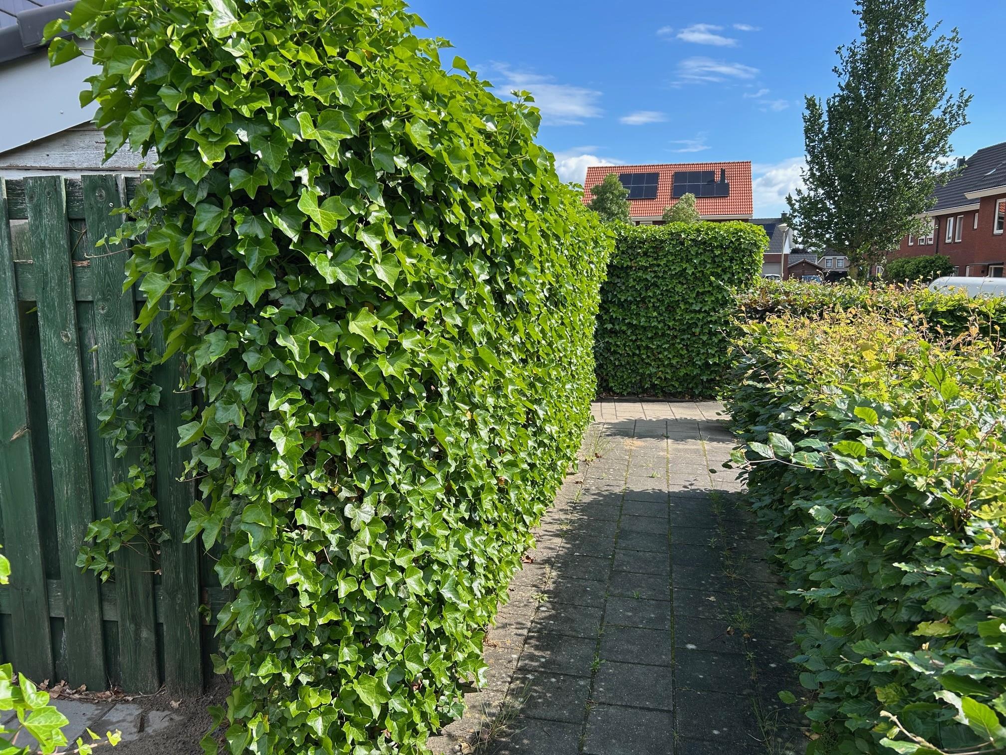 Meikeverstraat 5