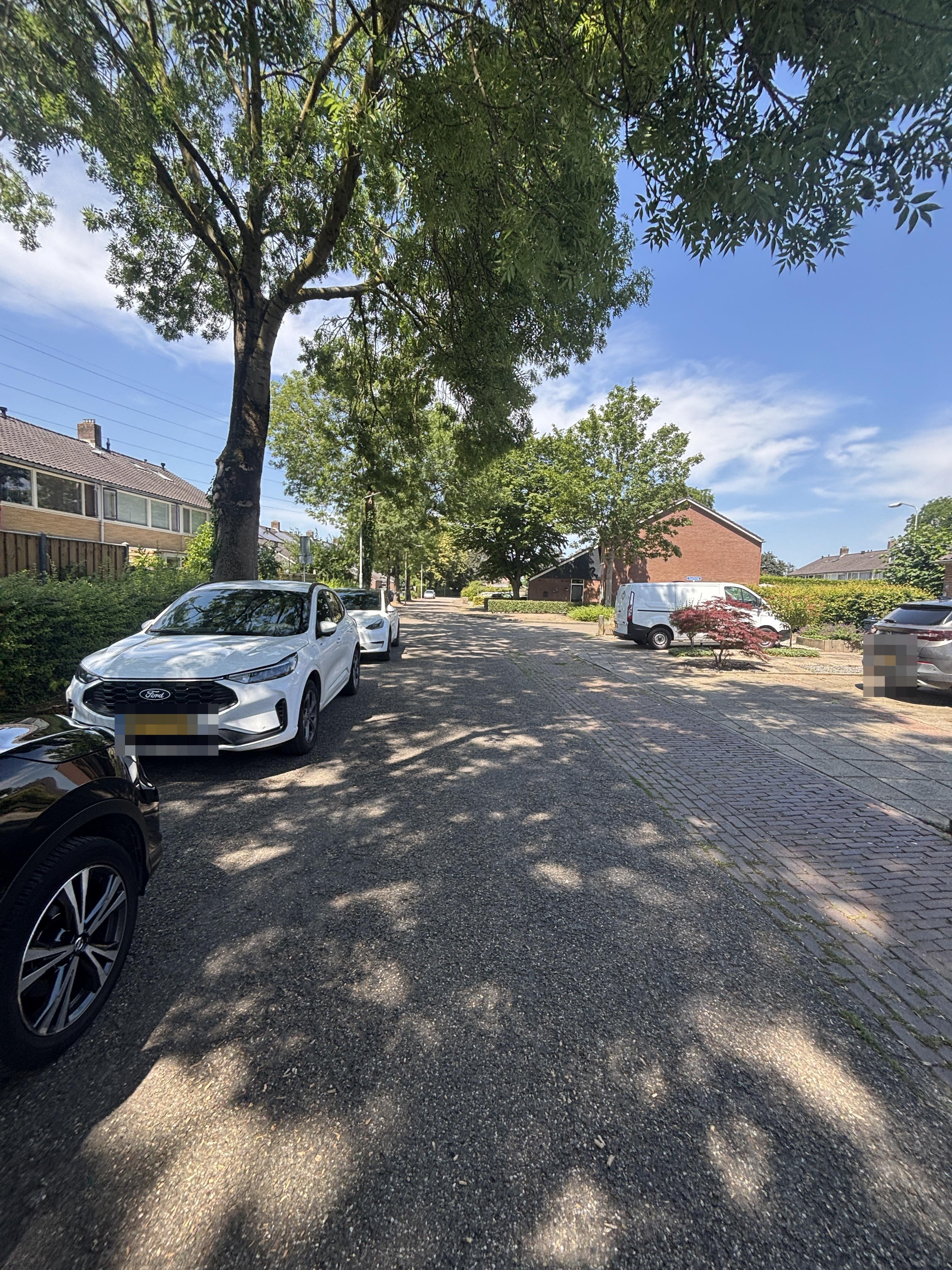 Vriesenenk 73