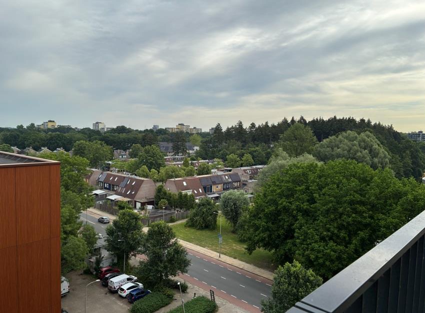 Meijhorst 1494