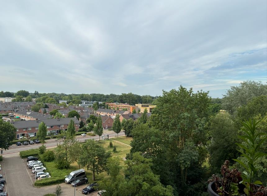 Meijhorst 1494