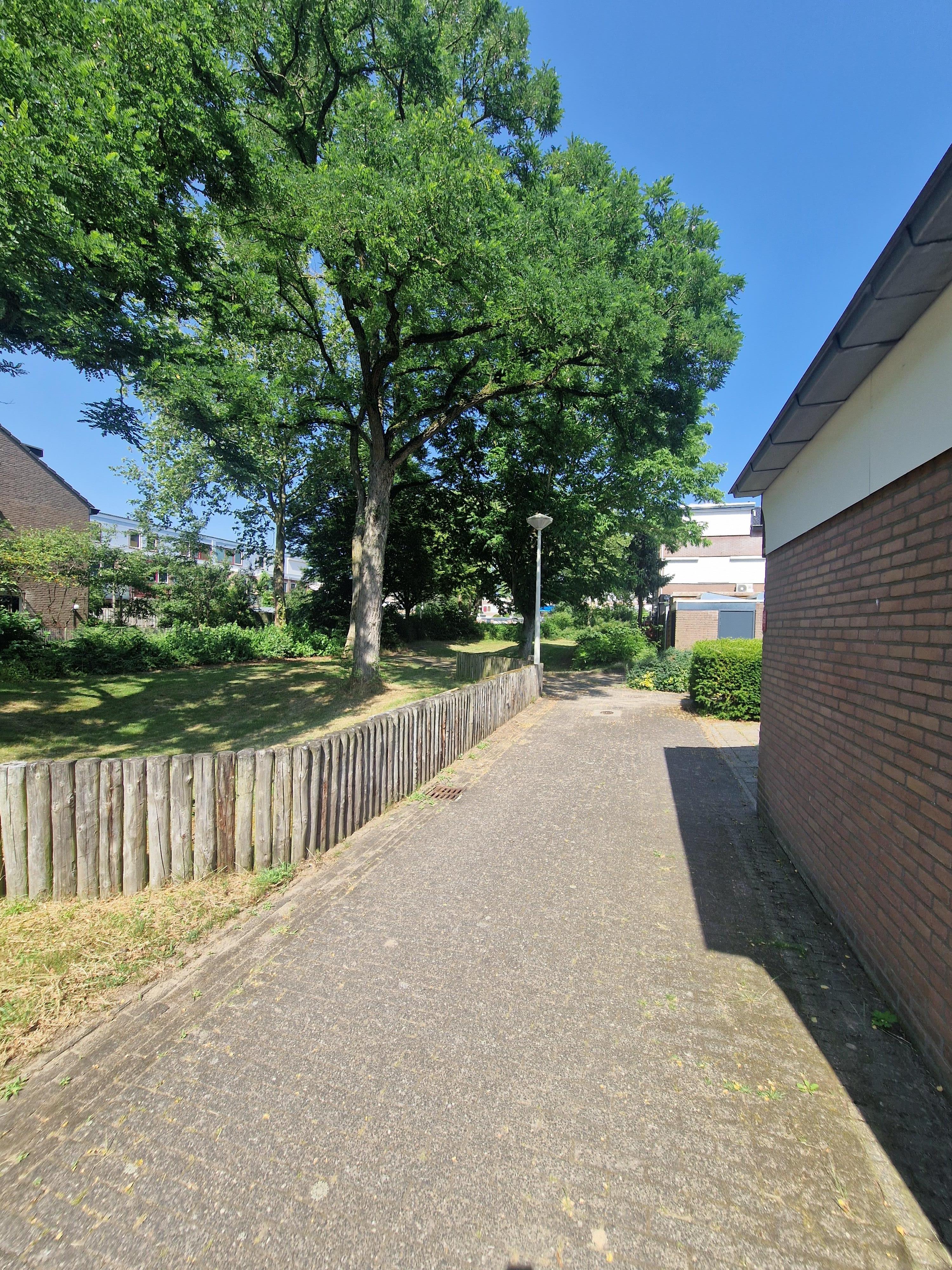 Wanmand 5