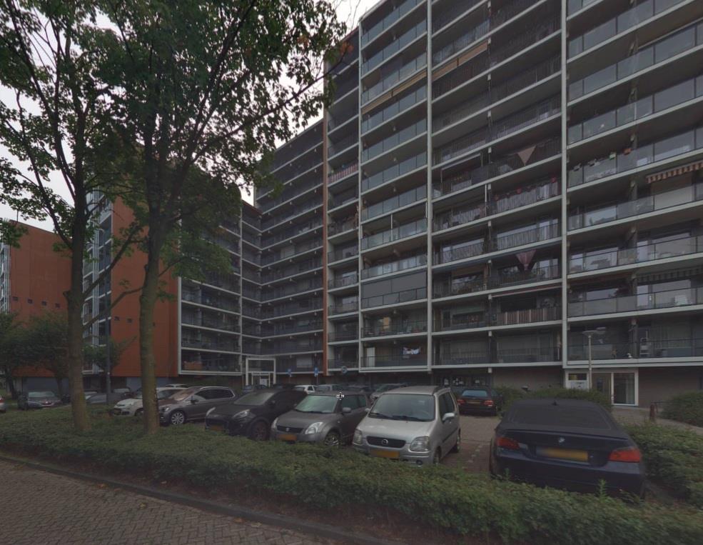 Meijhorst 1439