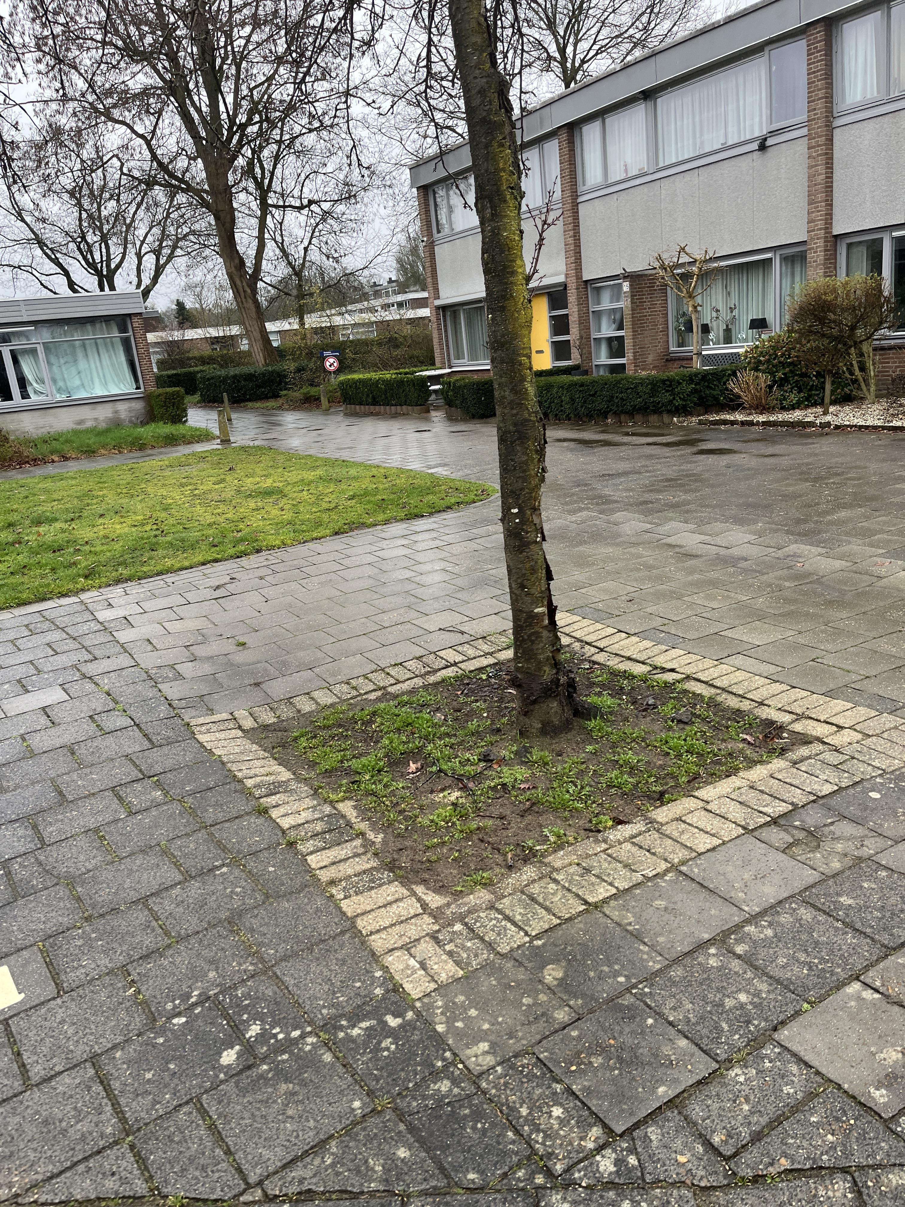 Berzeliusstraat 17