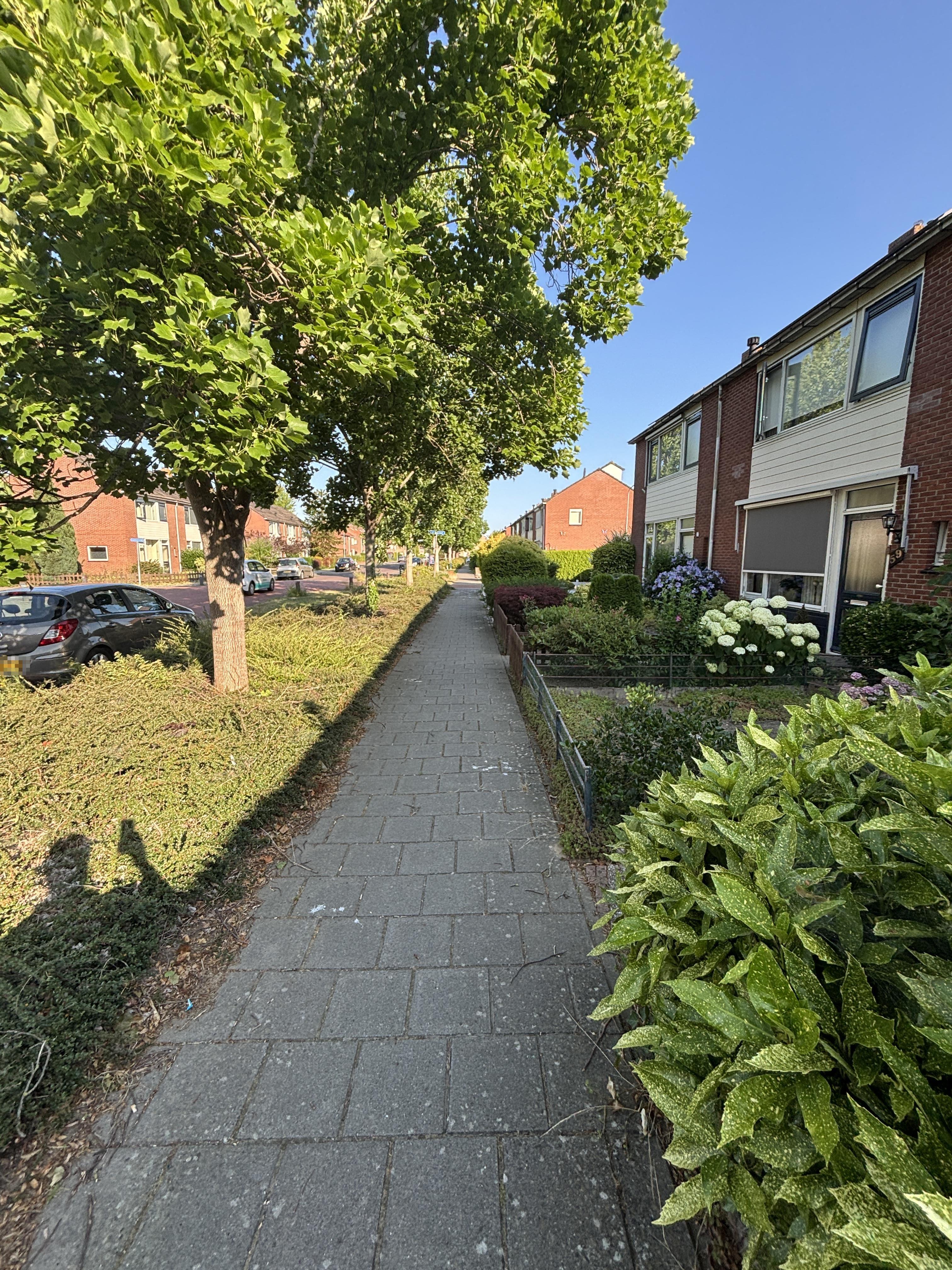Kreytierstraat 59