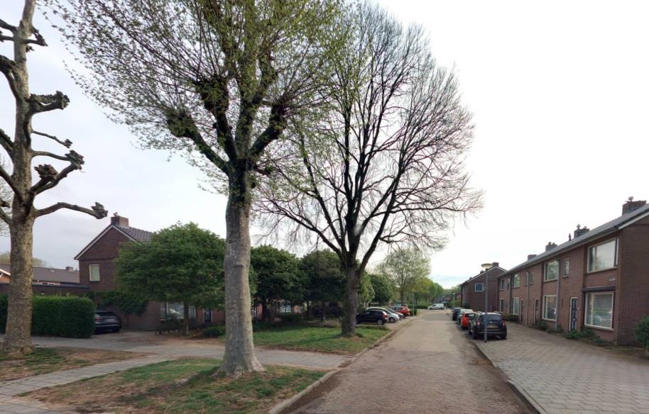 De Uilenboom 7