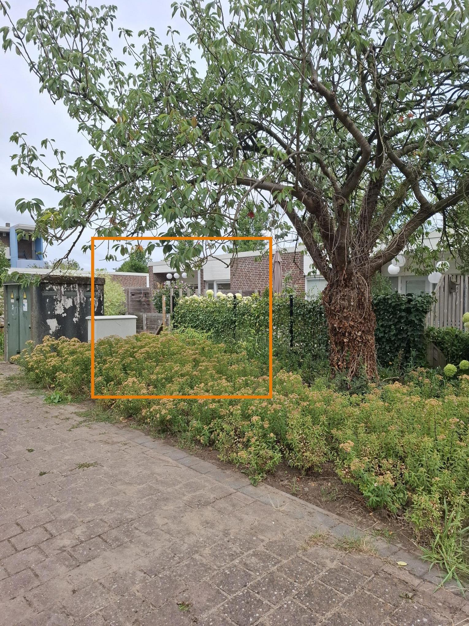 De Hooge Bongert 56