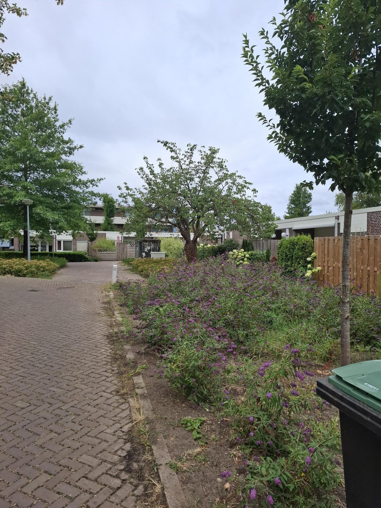 De Hooge Bongert 56