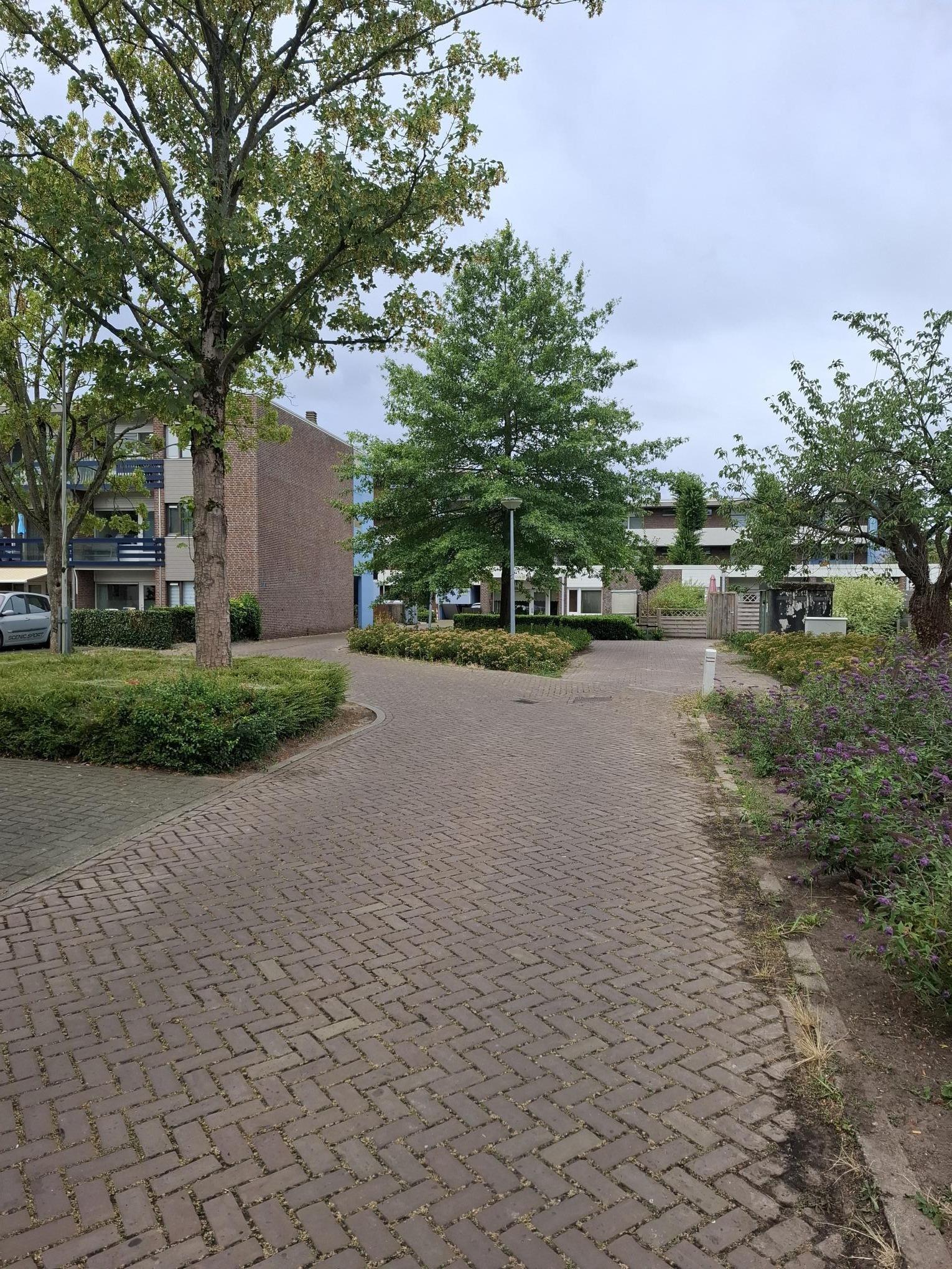 De Hooge Bongert 56